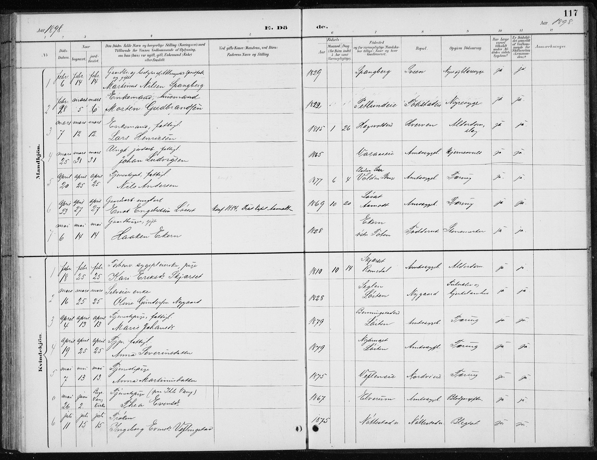 Stange prestekontor, SAH/PREST-002/L/L0010: Parish register (copy) no. 10, 1894-1905, p. 117