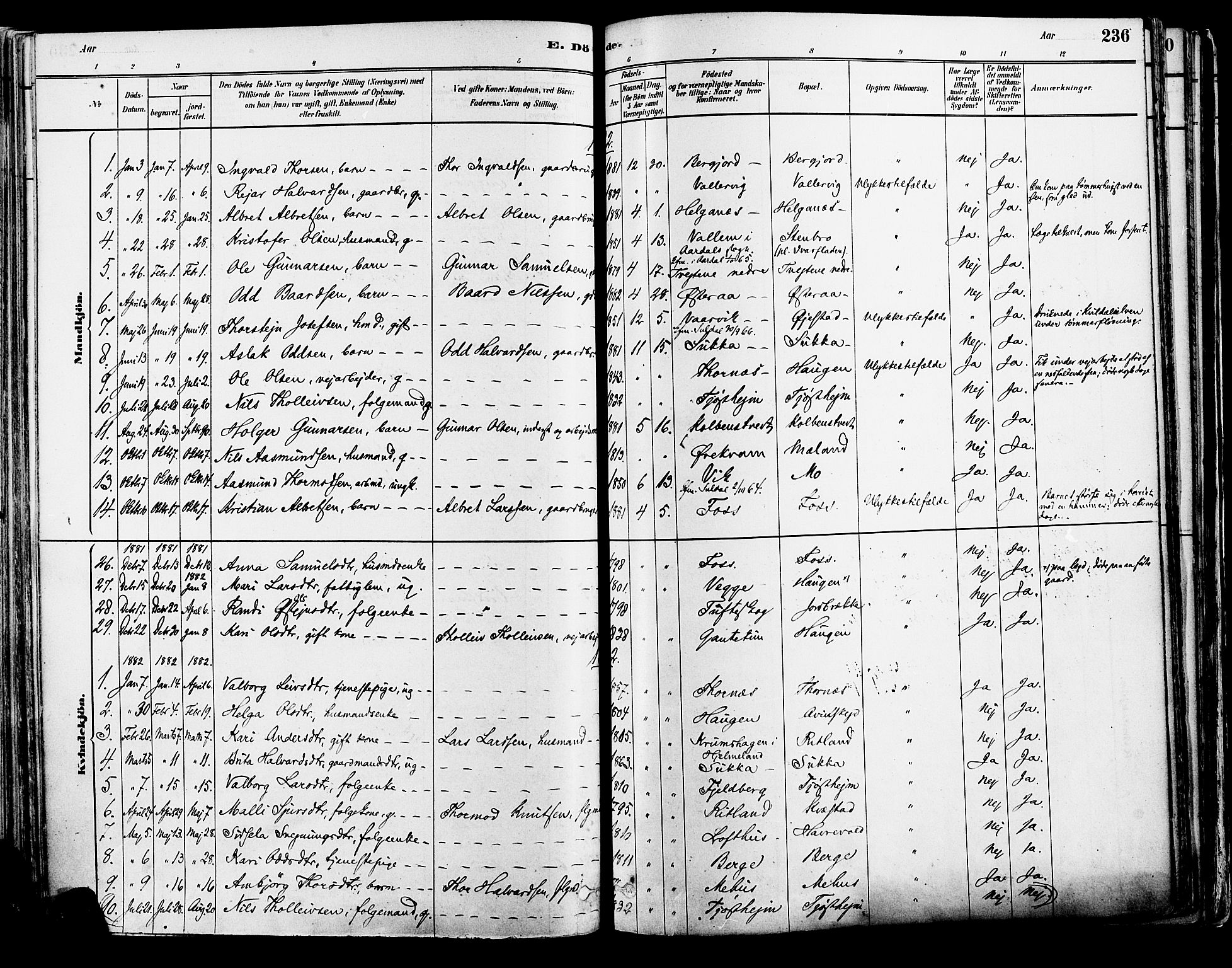 Suldal sokneprestkontor, AV/SAST-A-101845/01/IV/L0011: Parish register (official) no. A 11, 1878-1900, p. 236