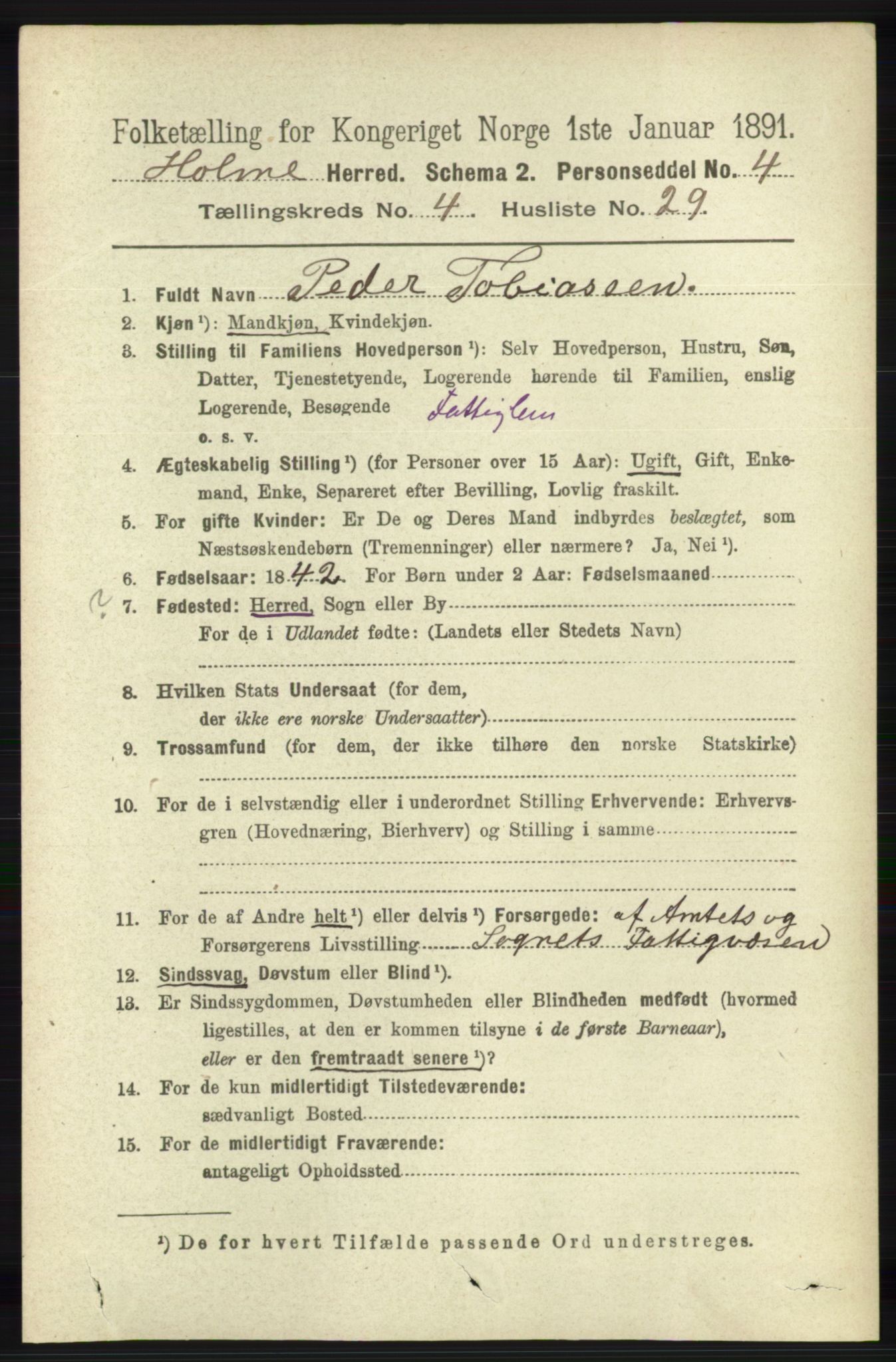 RA, 1891 census for 1020 Holum, 1891, p. 1172