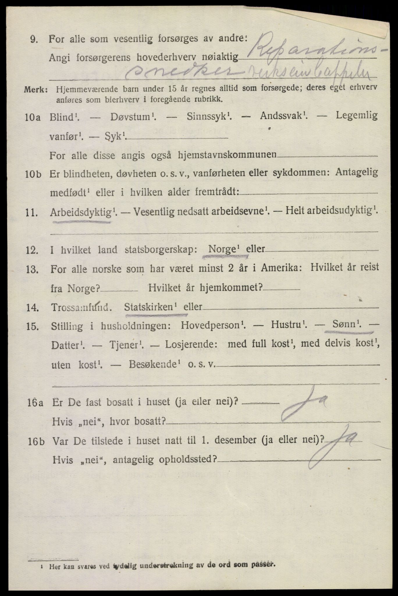 SAKO, 1920 census for Holla, 1920, p. 6594