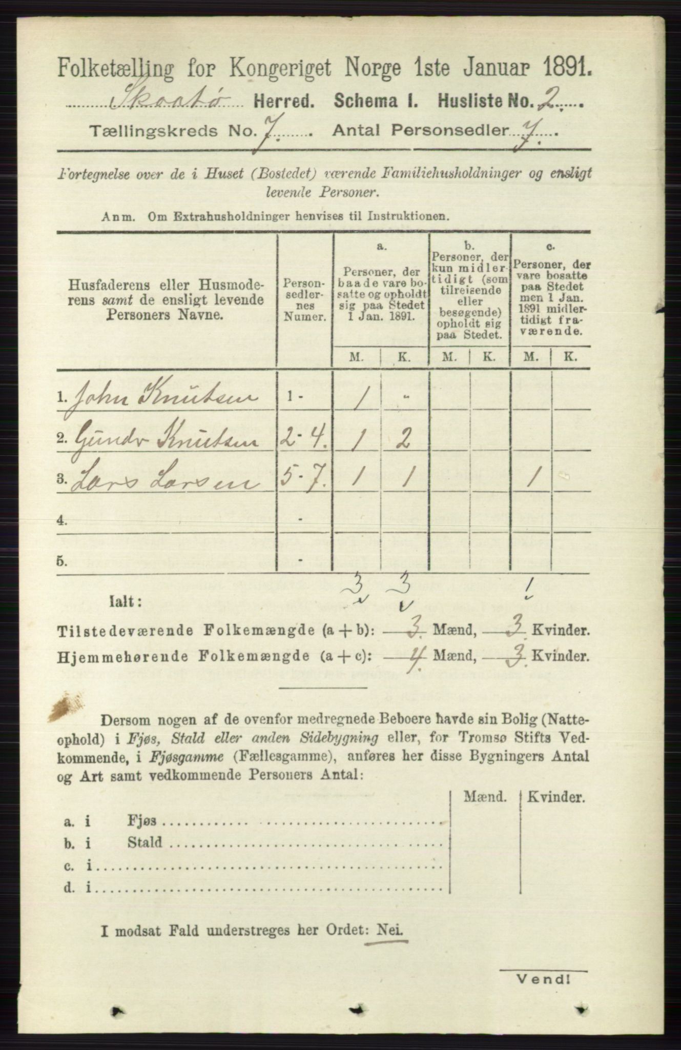 RA, 1891 census for 0815 Skåtøy, 1891, p. 2999