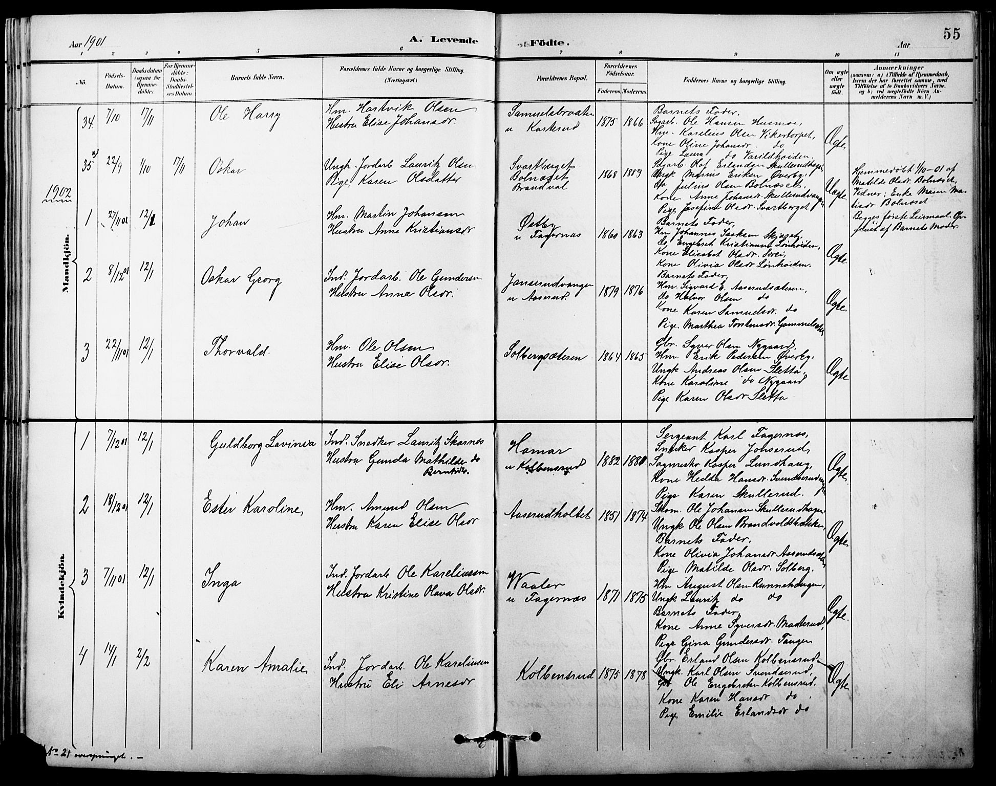 Vinger prestekontor, SAH/PREST-024/H/Ha/Hab/L0004: Parish register (copy) no. 4, 1895-1920, p. 55