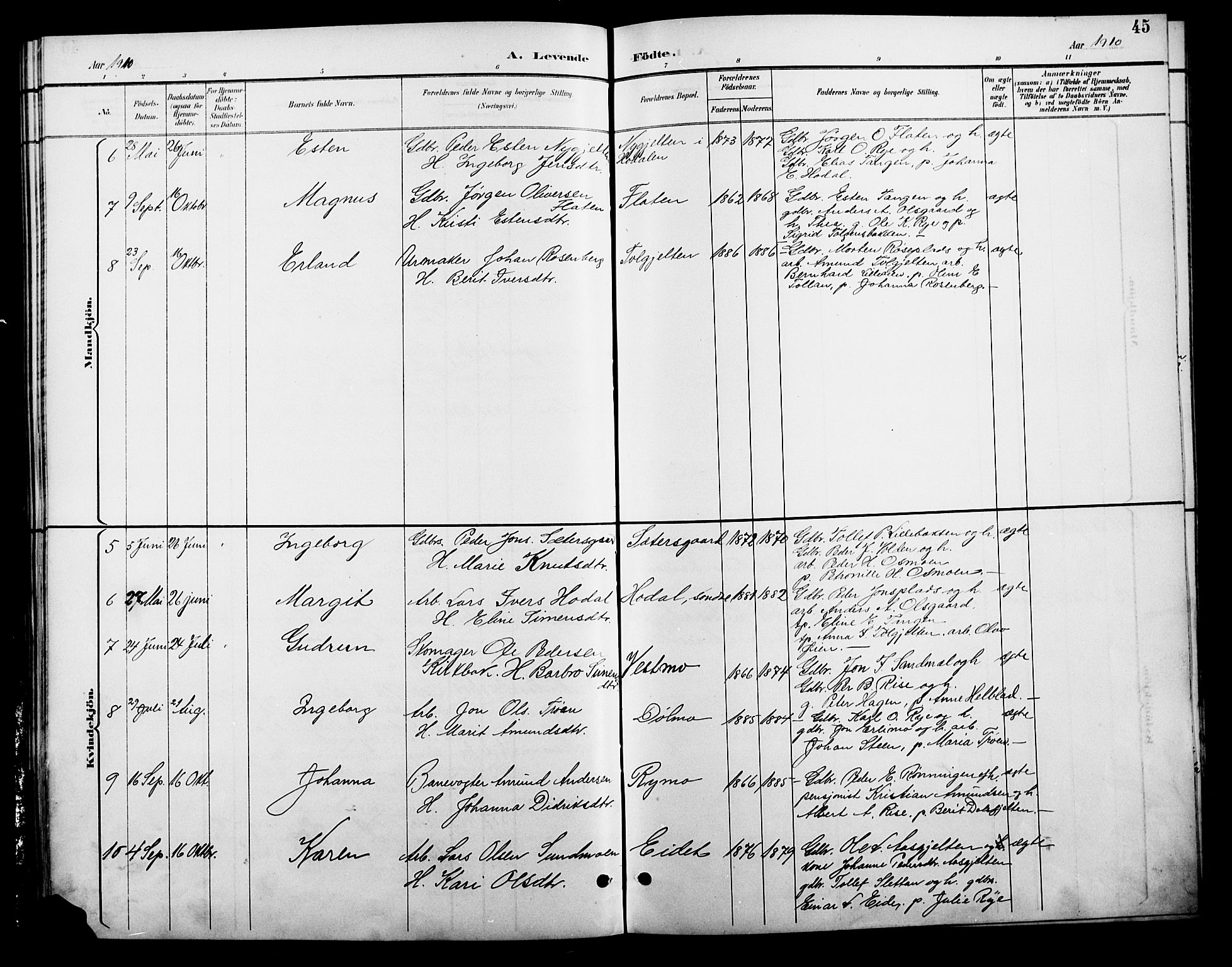 Tolga prestekontor, SAH/PREST-062/L/L0009: Parish register (copy) no. 9, 1892-1919, p. 45