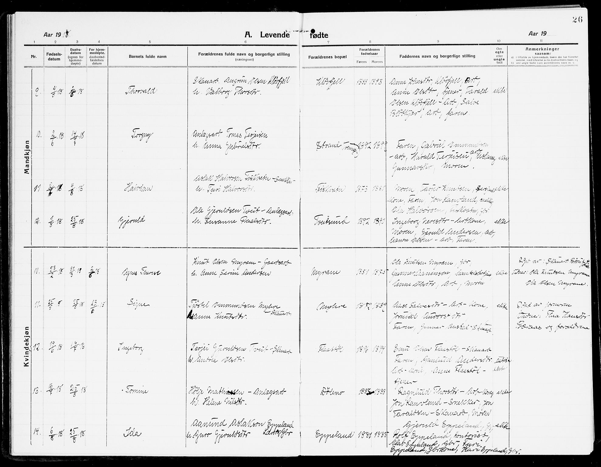 Åmli sokneprestkontor, AV/SAK-1111-0050/F/Fa/Fac/L0013: Parish register (official) no. A 13, 1914-1933, p. 26