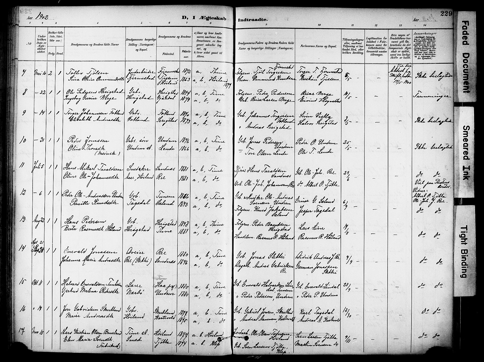 Lye sokneprestkontor, AV/SAST-A-101794/001/30BA/L0011: Parish register (official) no. A 9, 1893-1903, p. 229