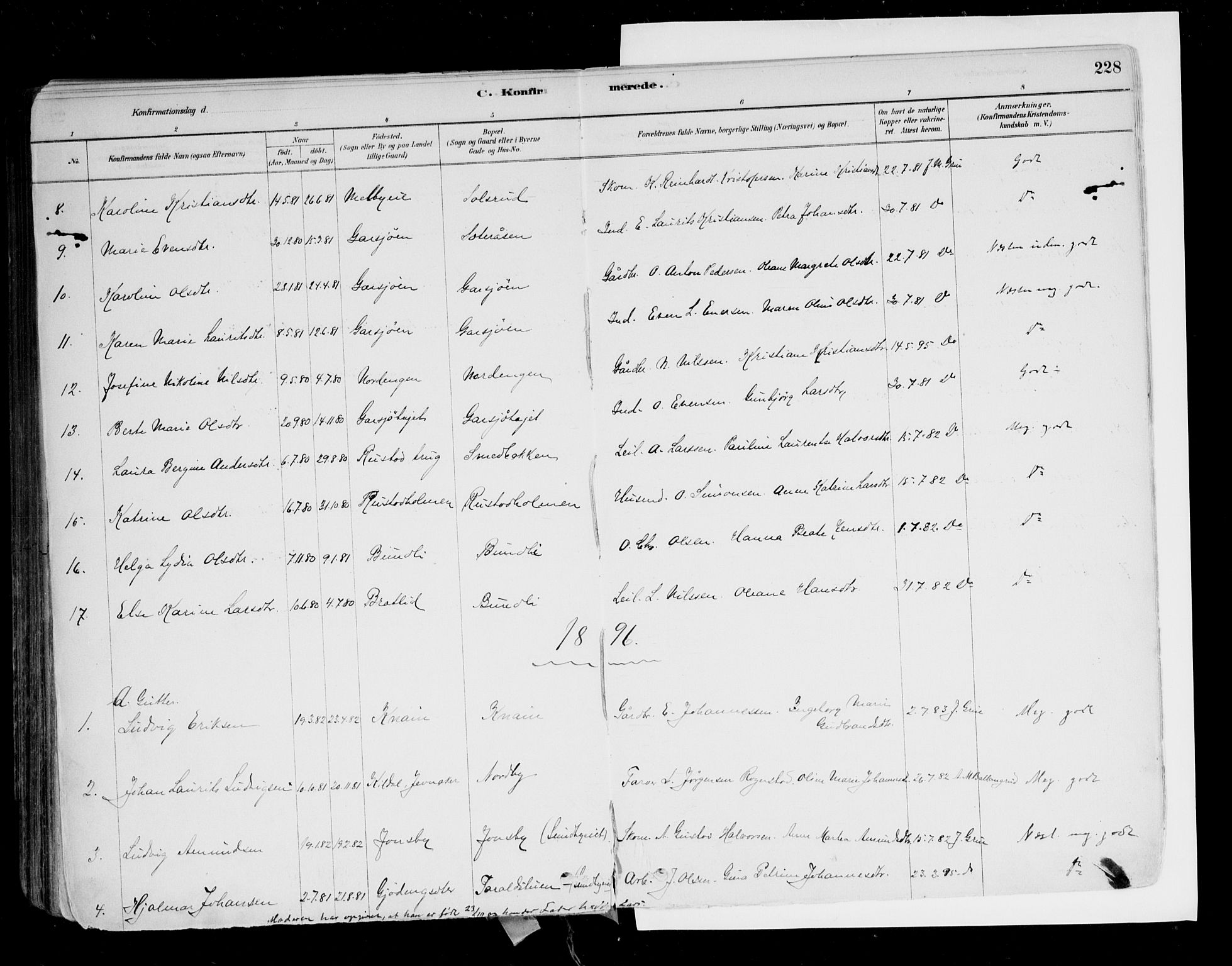 Hurdal prestekontor Kirkebøker, AV/SAO-A-10889/F/Fa/L0007: Parish register (official) no. I 7, 1878-1906, p. 228