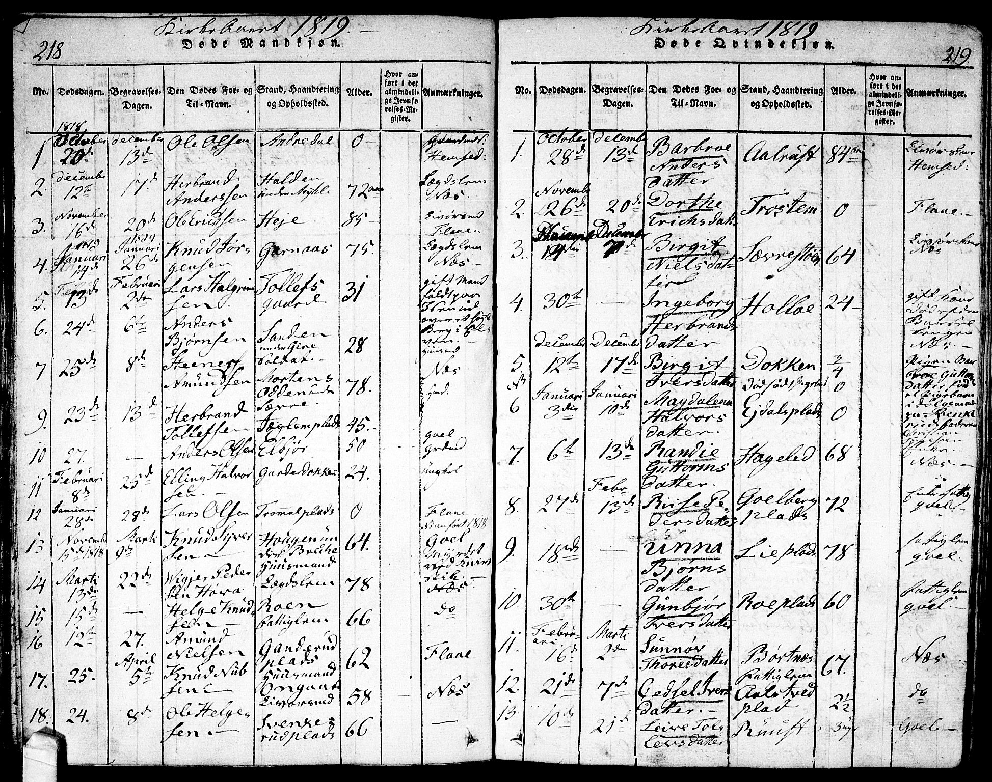 Nes kirkebøker, SAKO/A-236/F/Fa/L0007: Parish register (official) no. 7, 1815-1823, p. 218-219