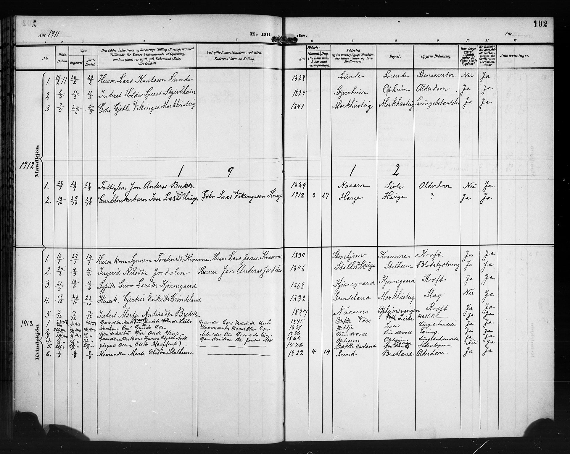 Vossestrand Sokneprestembete, SAB/A-79101/H/Hab: Parish register (copy) no. A 3, 1900-1918, p. 102