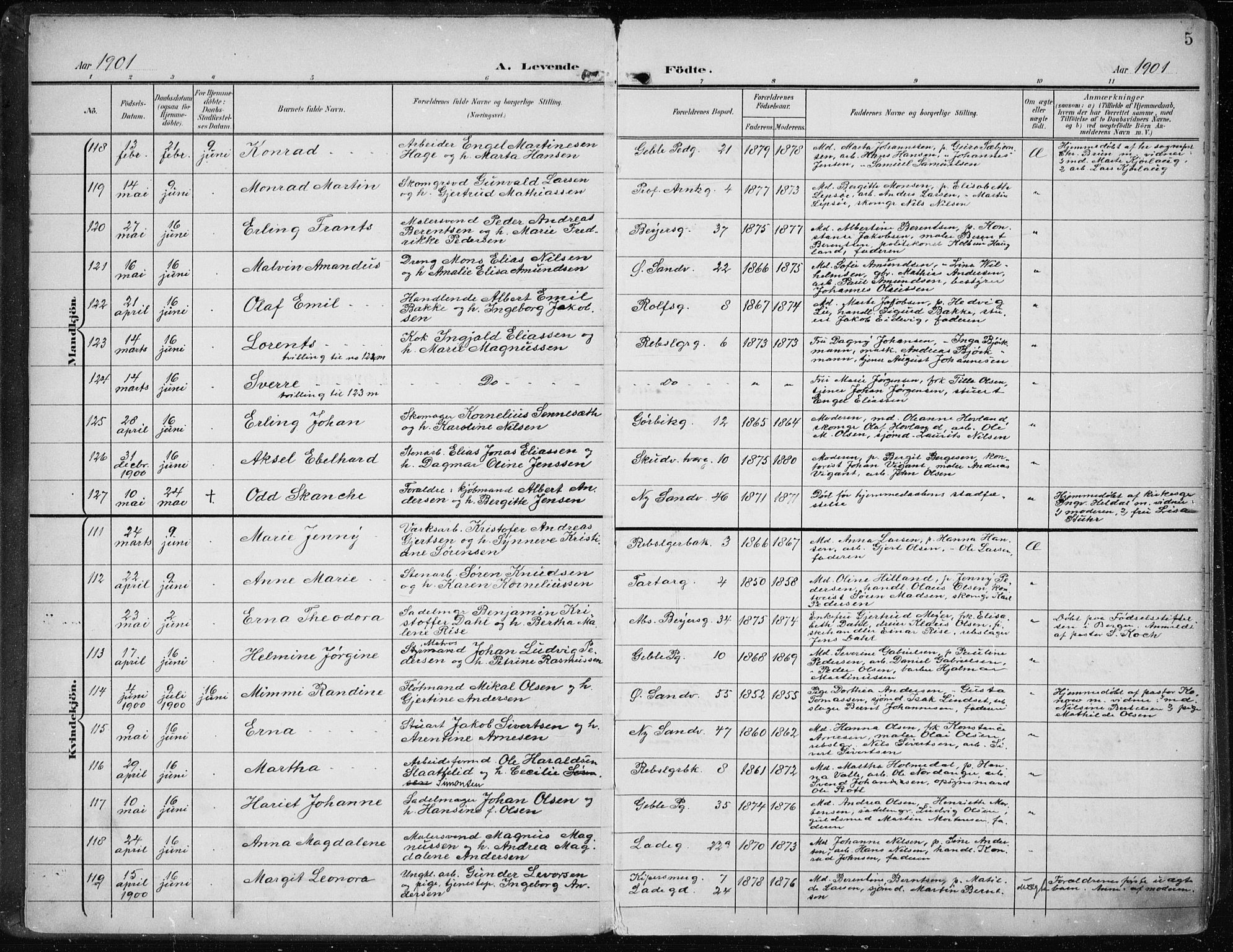 Sandviken Sokneprestembete, AV/SAB-A-77601/H/Ha/L0006: Parish register (official) no. B 3, 1901-1912, p. 5