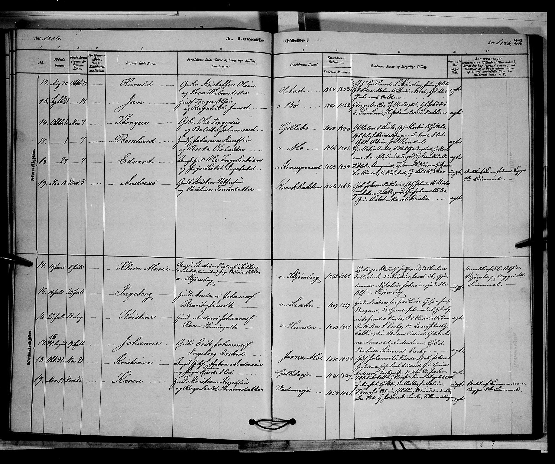 Øyer prestekontor, AV/SAH-PREST-084/H/Ha/Hab/L0002: Parish register (copy) no. 2, 1878-1896, p. 22