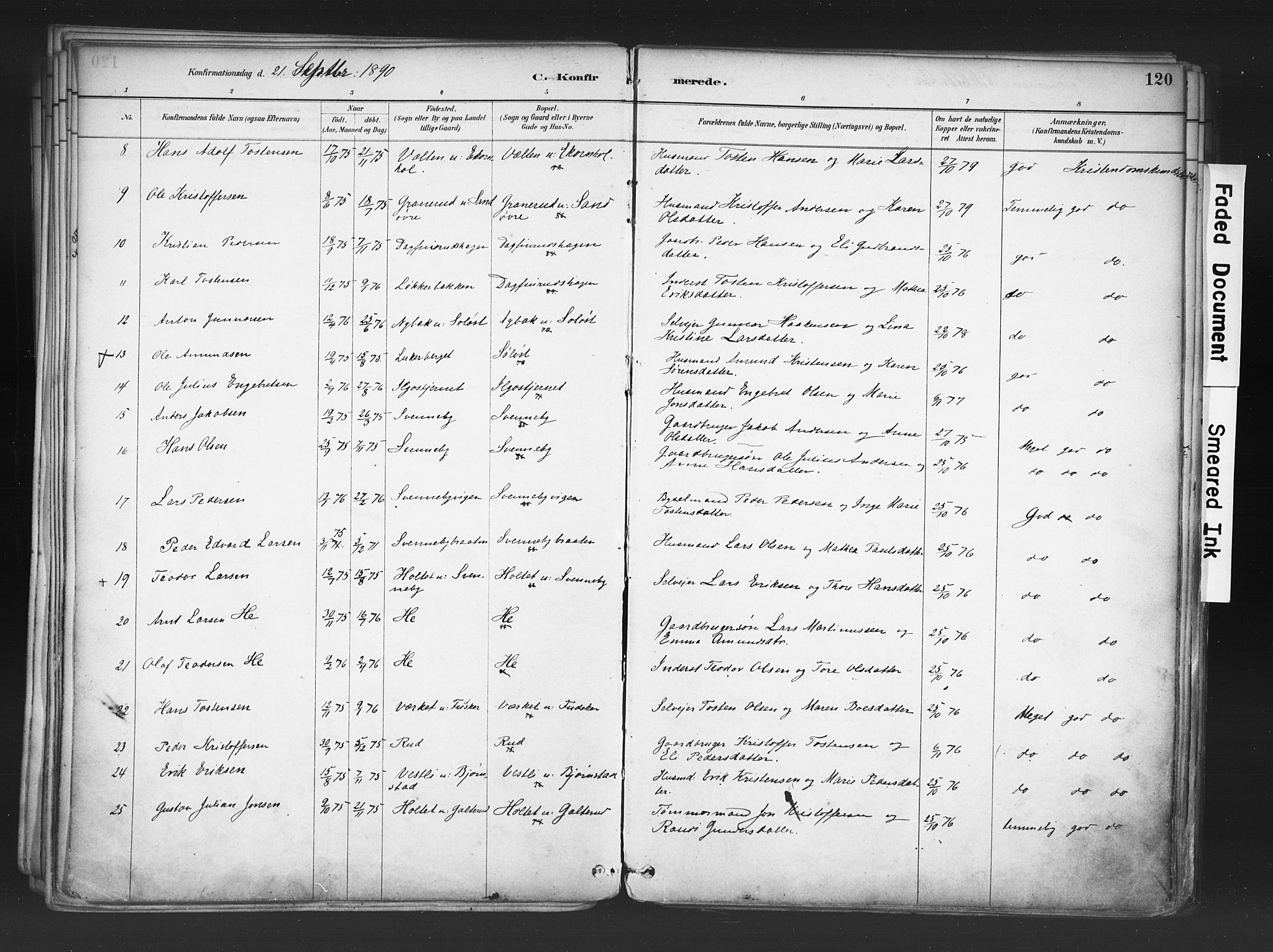 Nord-Odal prestekontor, AV/SAH-PREST-032/H/Ha/Haa/L0006: Parish register (official) no. 6, 1886-1901, p. 120