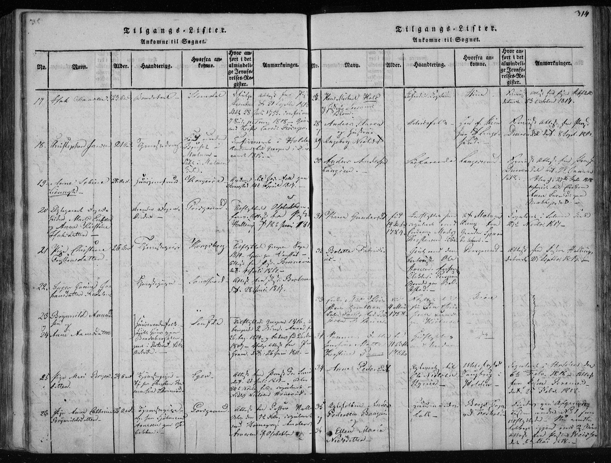 Gjerpen kirkebøker, SAKO/A-265/F/Fa/L0004: Parish register (official) no. I 4, 1814-1823, p. 314