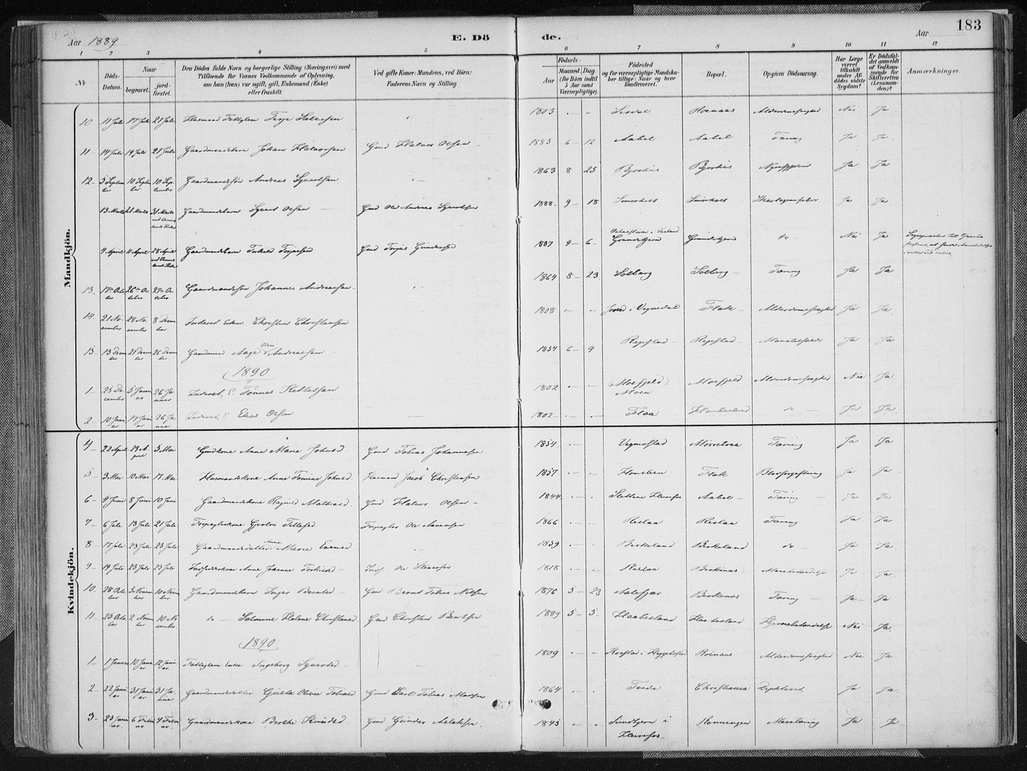 Birkenes sokneprestkontor, SAK/1111-0004/F/Fa/L0005: Parish register (official) no. A 5, 1887-1907, p. 183