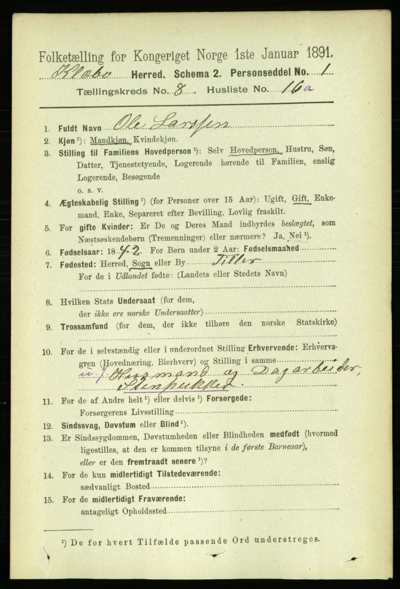 RA, 1891 census for 1662 Klæbu, 1891, p. 1633