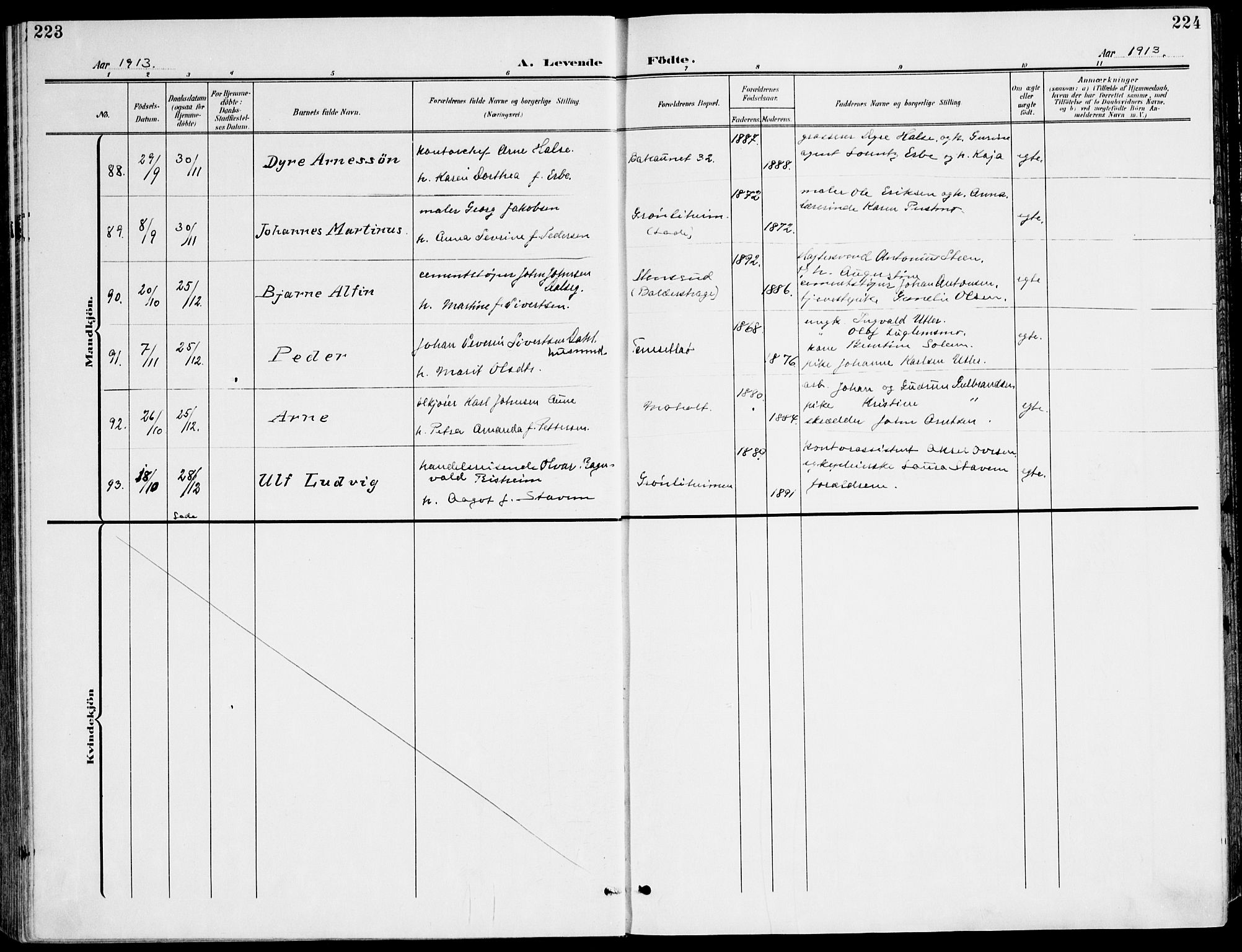 Ministerialprotokoller, klokkerbøker og fødselsregistre - Sør-Trøndelag, AV/SAT-A-1456/607/L0320: Parish register (official) no. 607A04, 1907-1915, p. 223-224