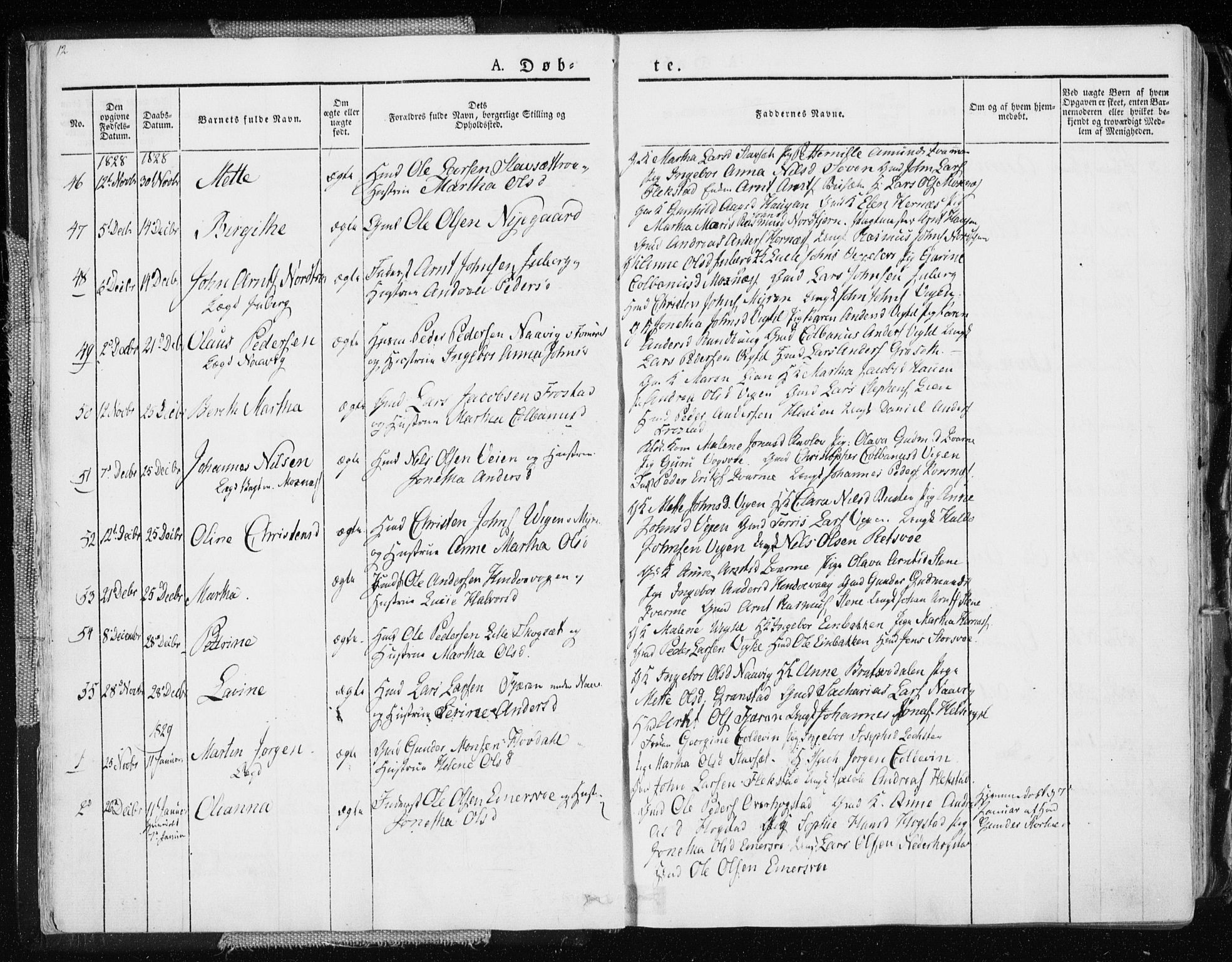 Ministerialprotokoller, klokkerbøker og fødselsregistre - Nord-Trøndelag, AV/SAT-A-1458/713/L0114: Parish register (official) no. 713A05, 1827-1839, p. 12