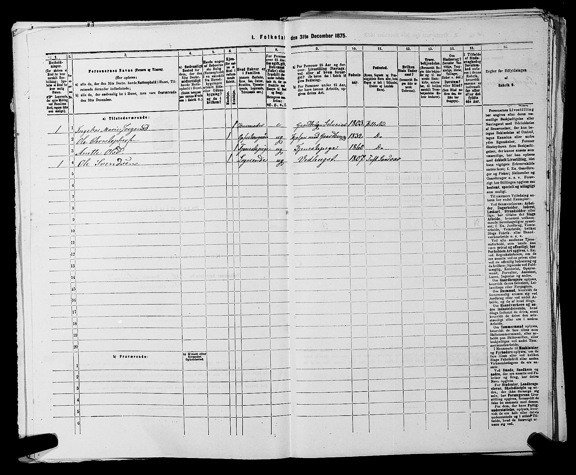 SAKO, 1875 census for 0715P Botne, 1875, p. 480