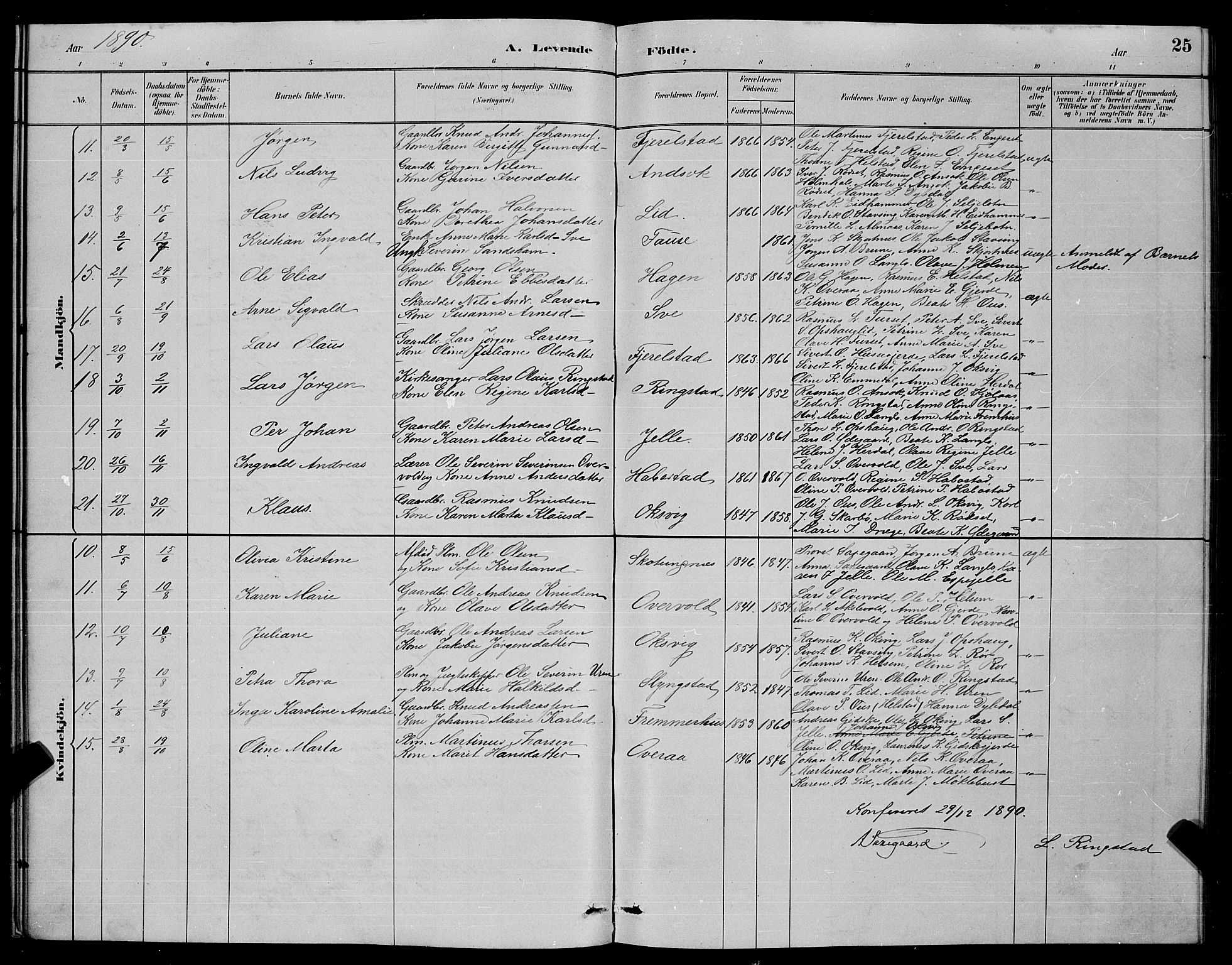 Ministerialprotokoller, klokkerbøker og fødselsregistre - Møre og Romsdal, SAT/A-1454/520/L0292: Parish register (copy) no. 520C04, 1882-1901, p. 25