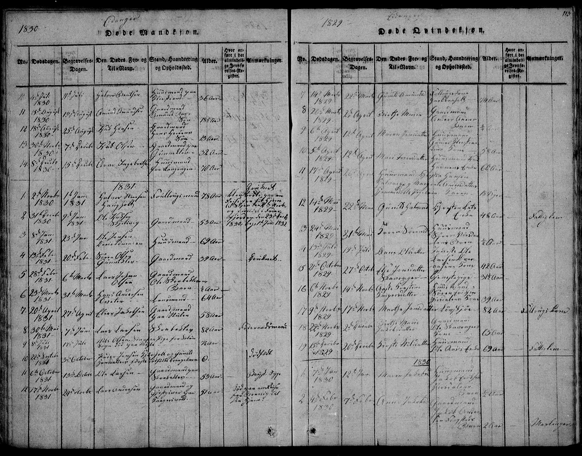 Eidanger kirkebøker, AV/SAKO-A-261/F/Fa/L0007: Parish register (official) no. 7, 1814-1831, p. 113