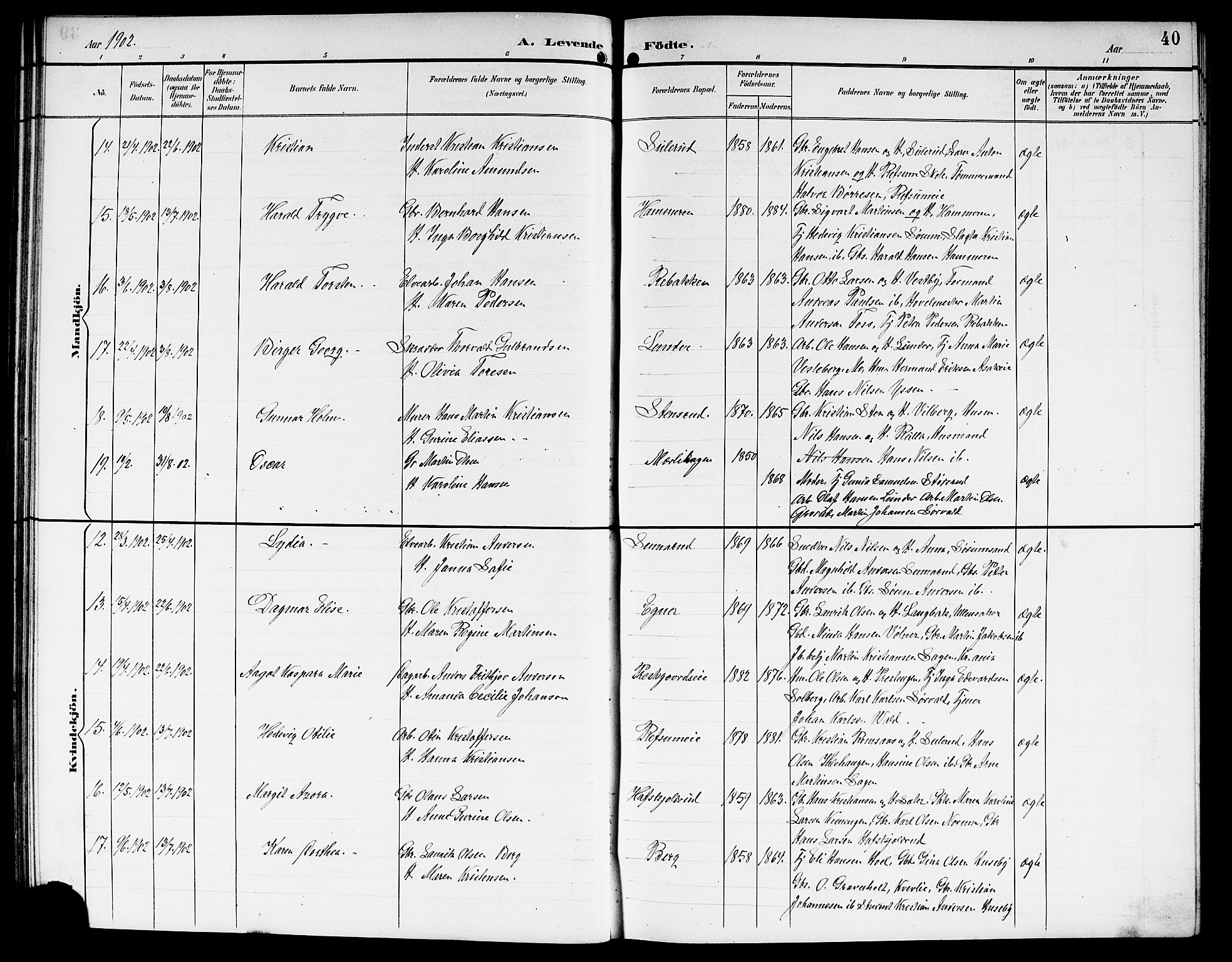 Sørum prestekontor Kirkebøker, AV/SAO-A-10303/G/Ga/L0006: Parish register (copy) no. I 6, 1894-1906, p. 40