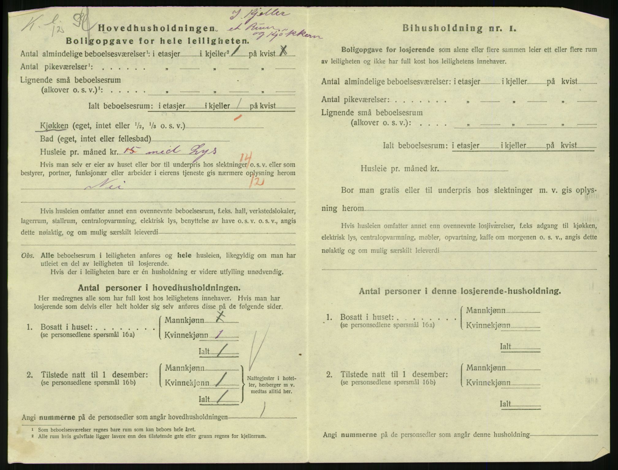 SAKO, 1920 census for Larvik, 1920, p. 5333