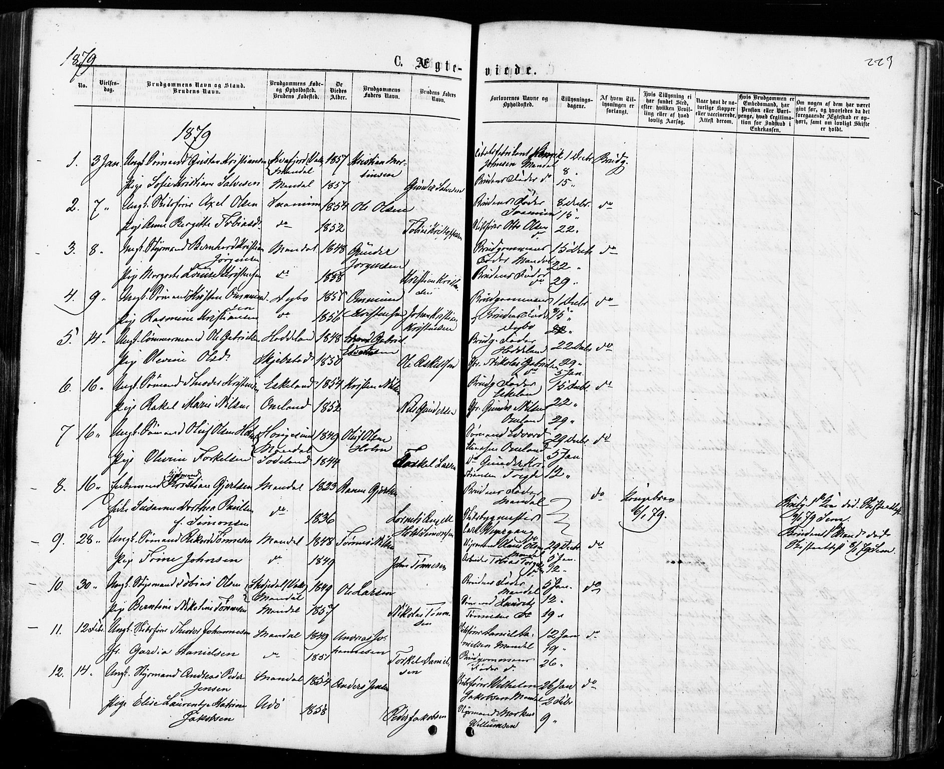 Mandal sokneprestkontor, SAK/1111-0030/F/Fa/Faa/L0015: Parish register (official) no. A 15, 1873-1879, p. 223