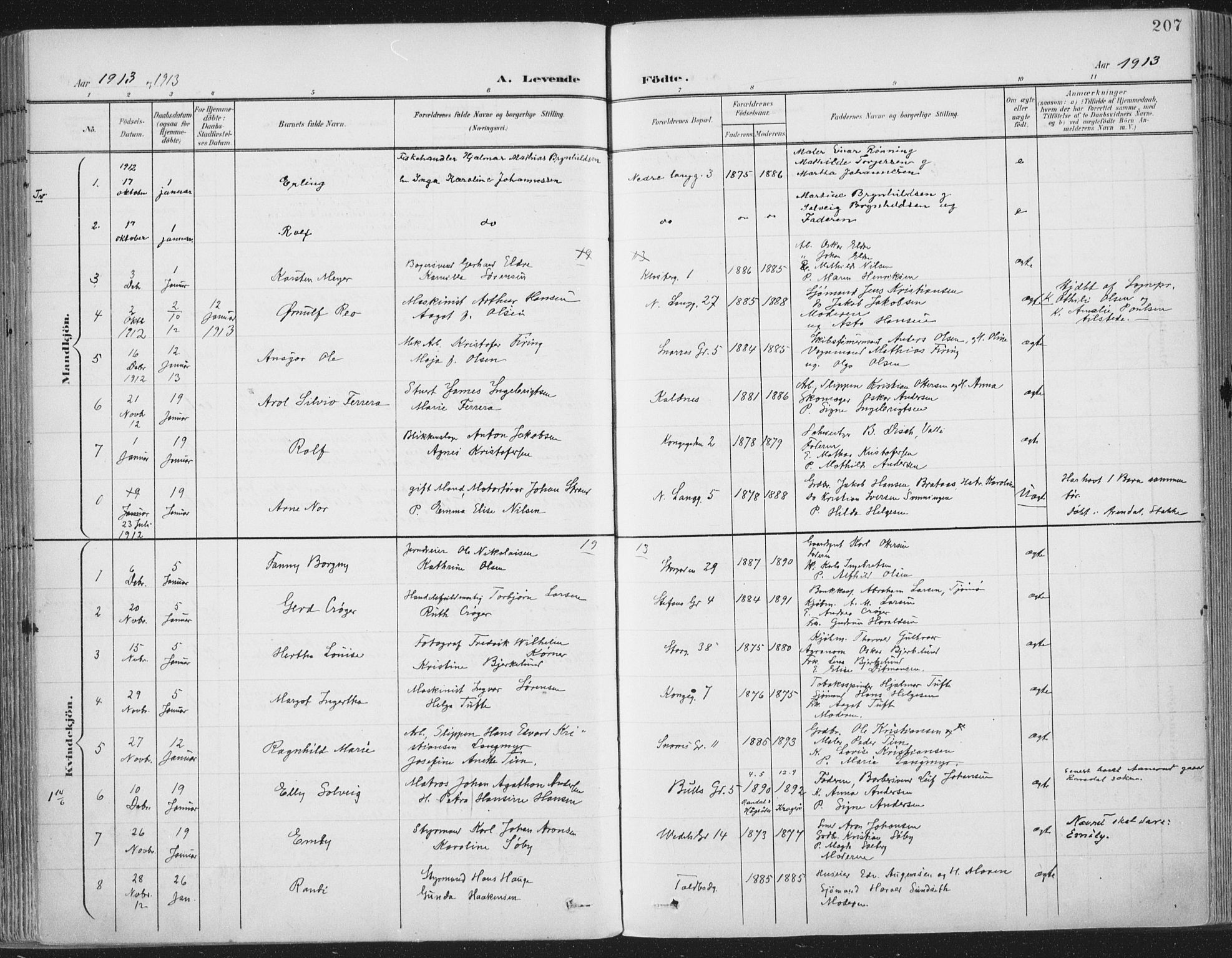 Tønsberg kirkebøker, AV/SAKO-A-330/F/Fa/L0014: Parish register (official) no. I 14, 1900-1913, p. 207