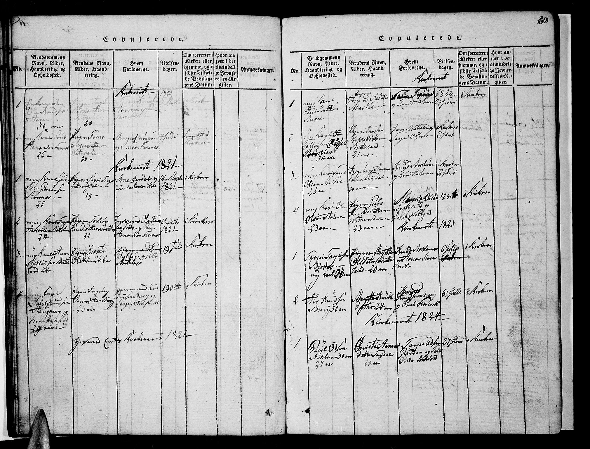 Valle sokneprestkontor, SAK/1111-0044/F/Fb/Fbc/L0001: Parish register (copy) no. B 1 /3, 1816-1829, p. 223
