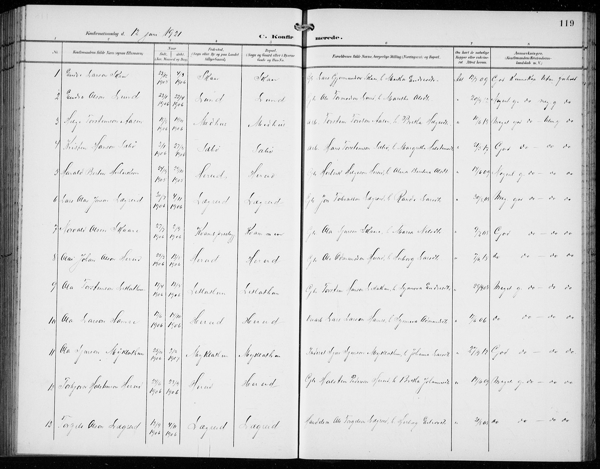 Ullensvang sokneprestembete, SAB/A-78701/H/Hab: Parish register (copy) no. C  3, 1899-1932, p. 119