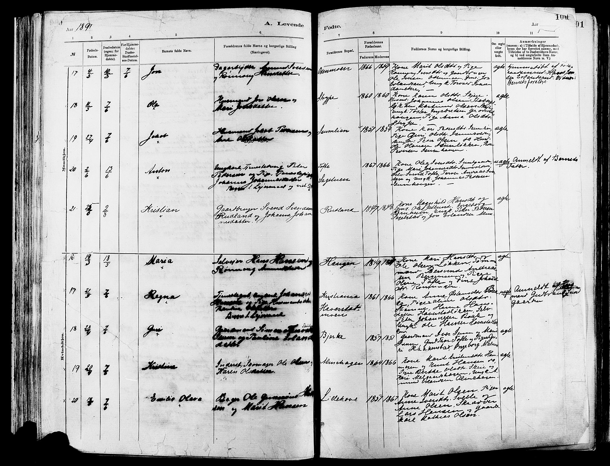 Sør-Fron prestekontor, AV/SAH-PREST-010/H/Ha/Haa/L0003: Parish register (official) no. 3, 1881-1897, p. 100