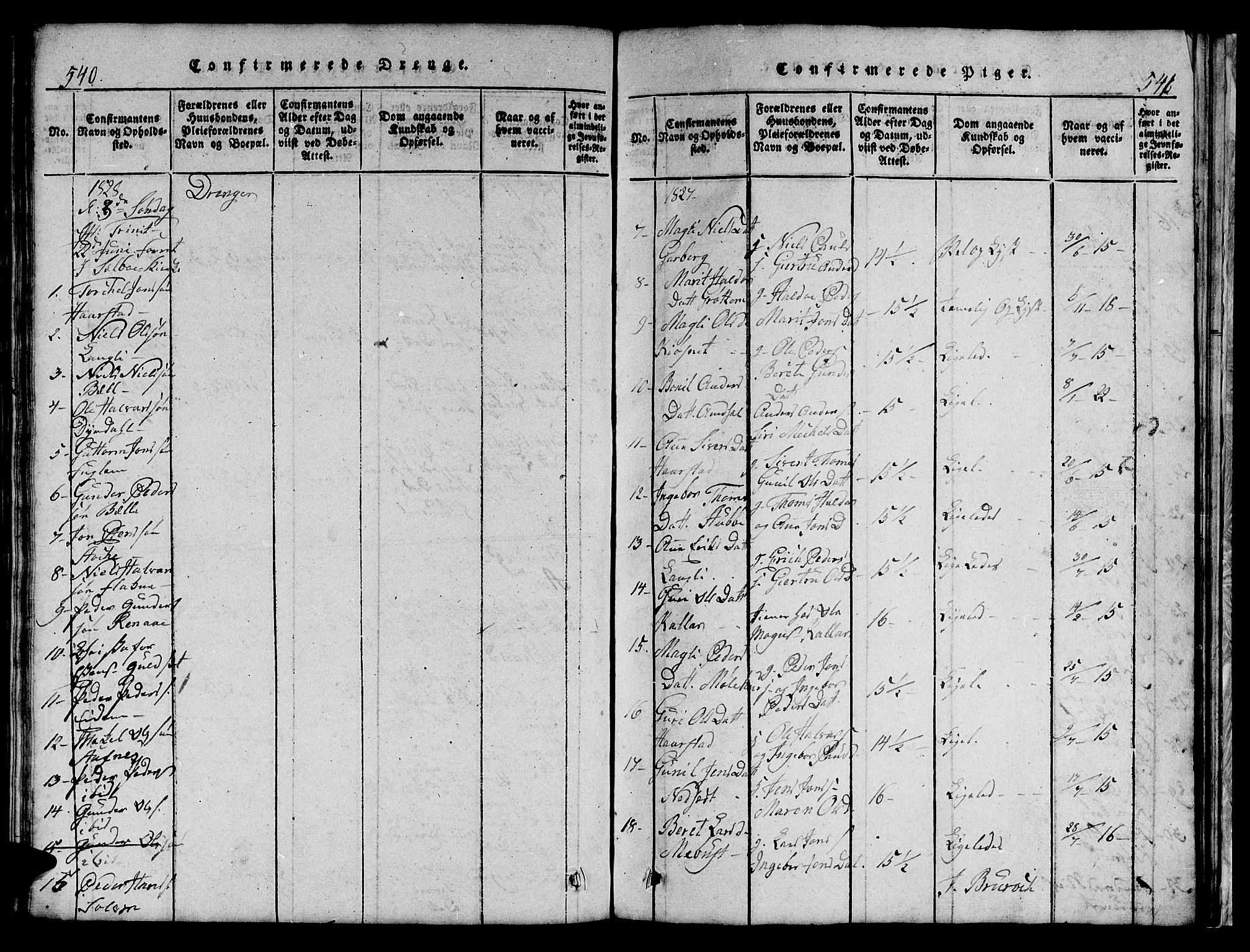 Ministerialprotokoller, klokkerbøker og fødselsregistre - Sør-Trøndelag, SAT/A-1456/695/L1152: Parish register (copy) no. 695C03, 1816-1831, p. 540-541