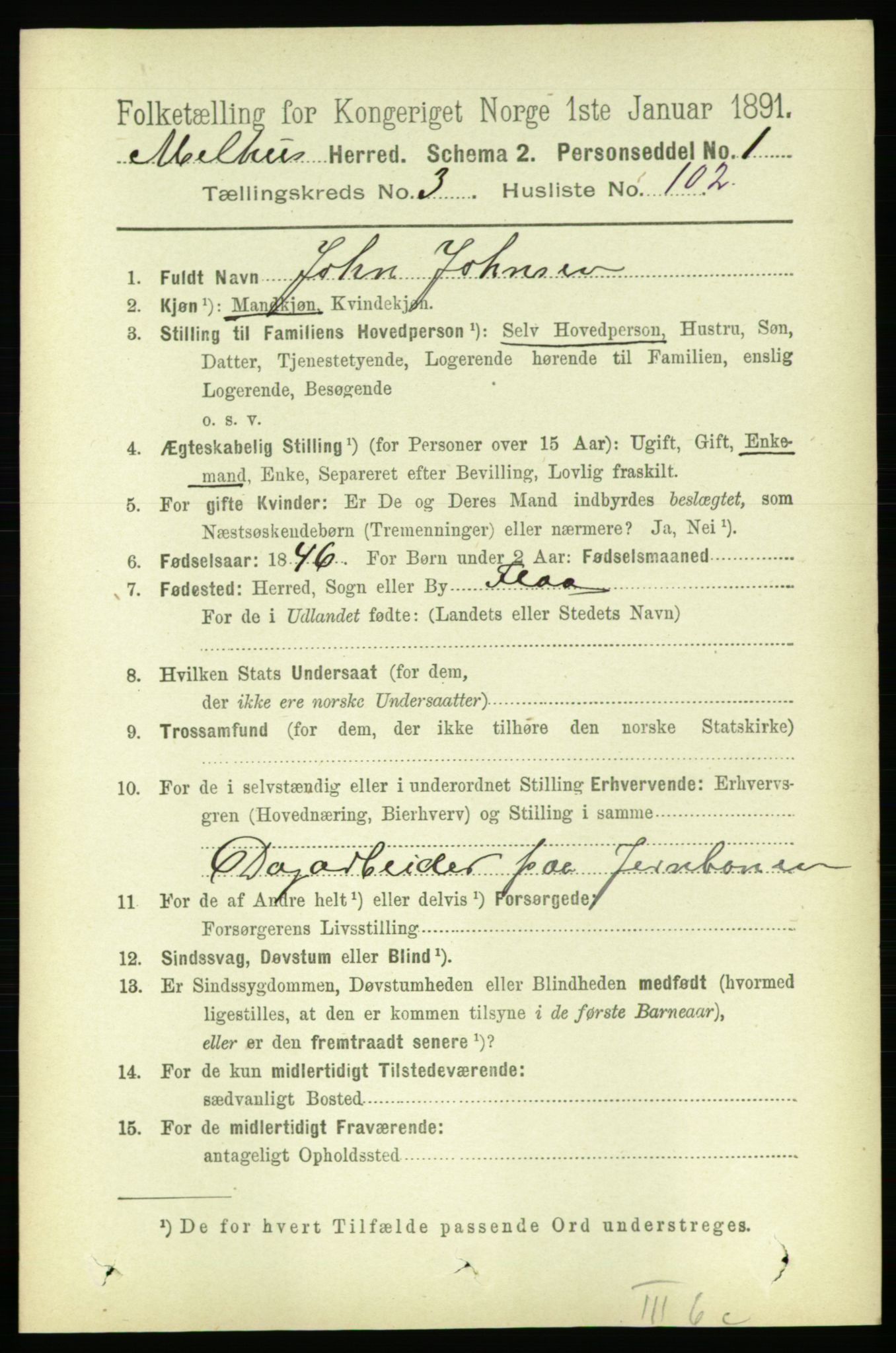 RA, 1891 census for 1653 Melhus, 1891, p. 1894