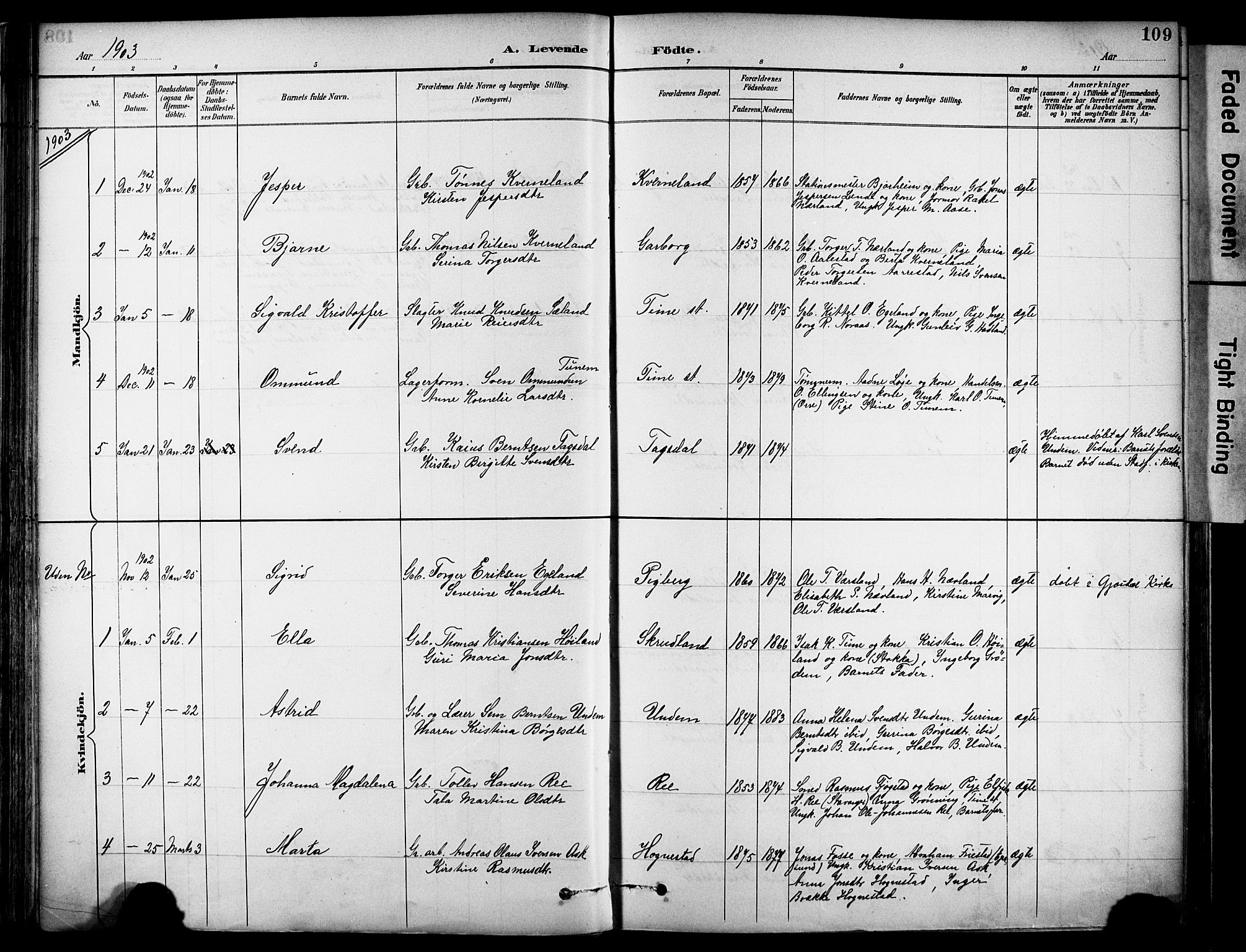 Lye sokneprestkontor, SAST/A-101794/001/30BA/L0011: Parish register (official) no. A 9, 1893-1903, p. 109