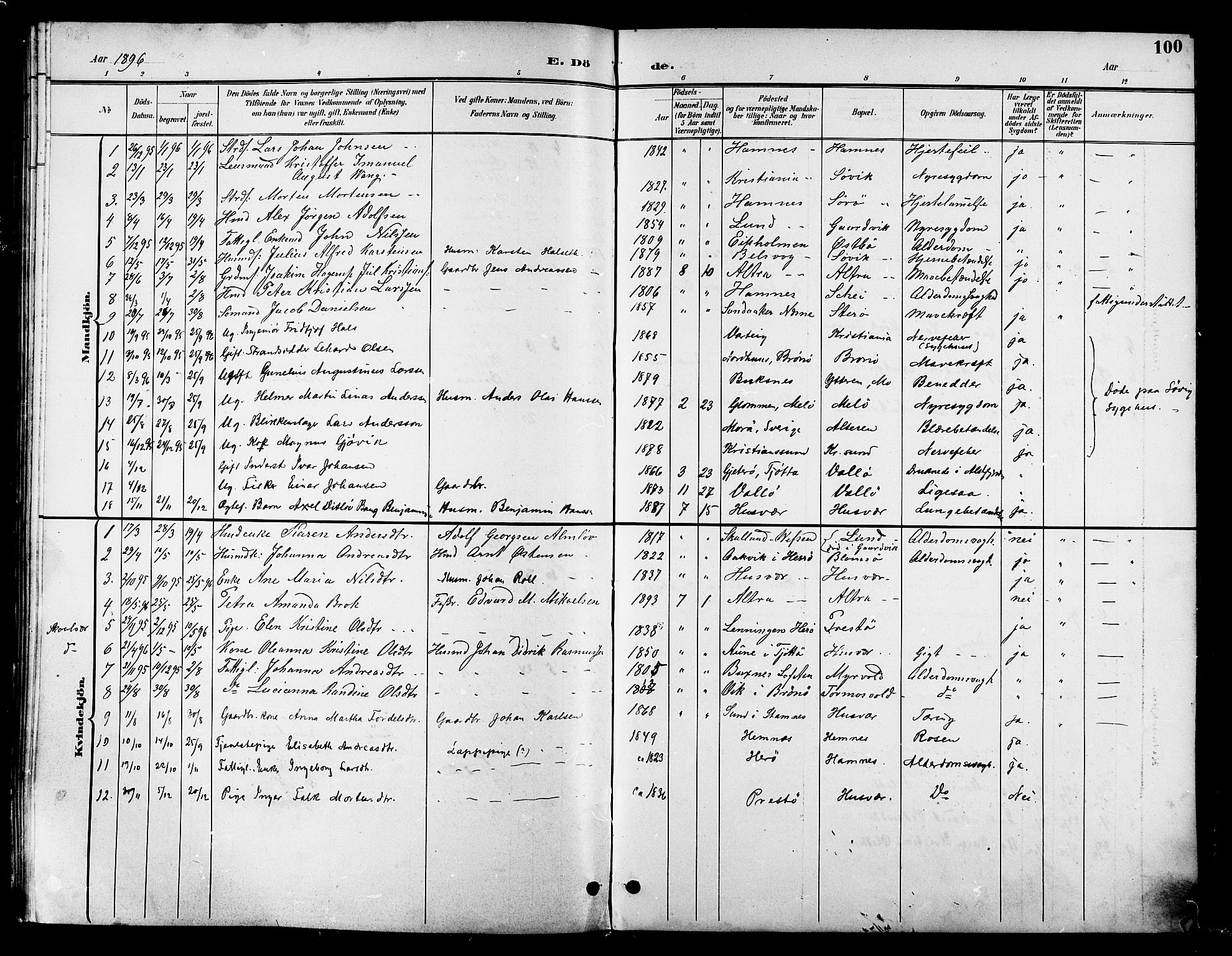 Ministerialprotokoller, klokkerbøker og fødselsregistre - Nordland, SAT/A-1459/830/L0463: Parish register (copy) no. 830C05, 1895-1906, p. 100