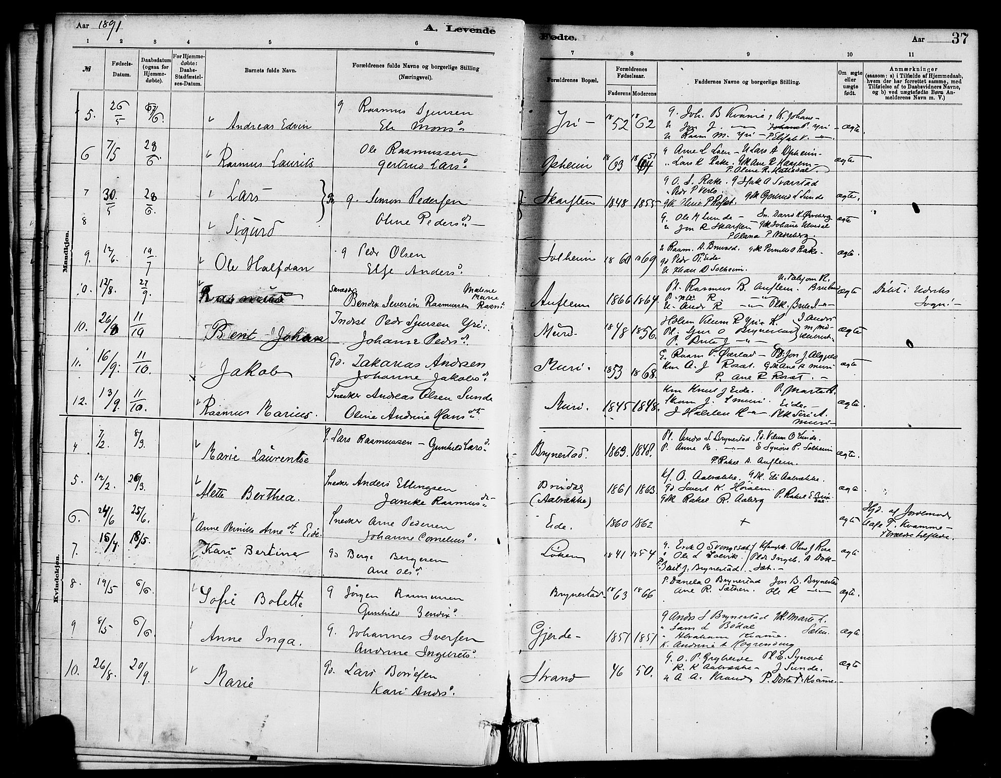 Innvik sokneprestembete, AV/SAB-A-80501: Parish register (official) no. C 1, 1879-1900, p. 37