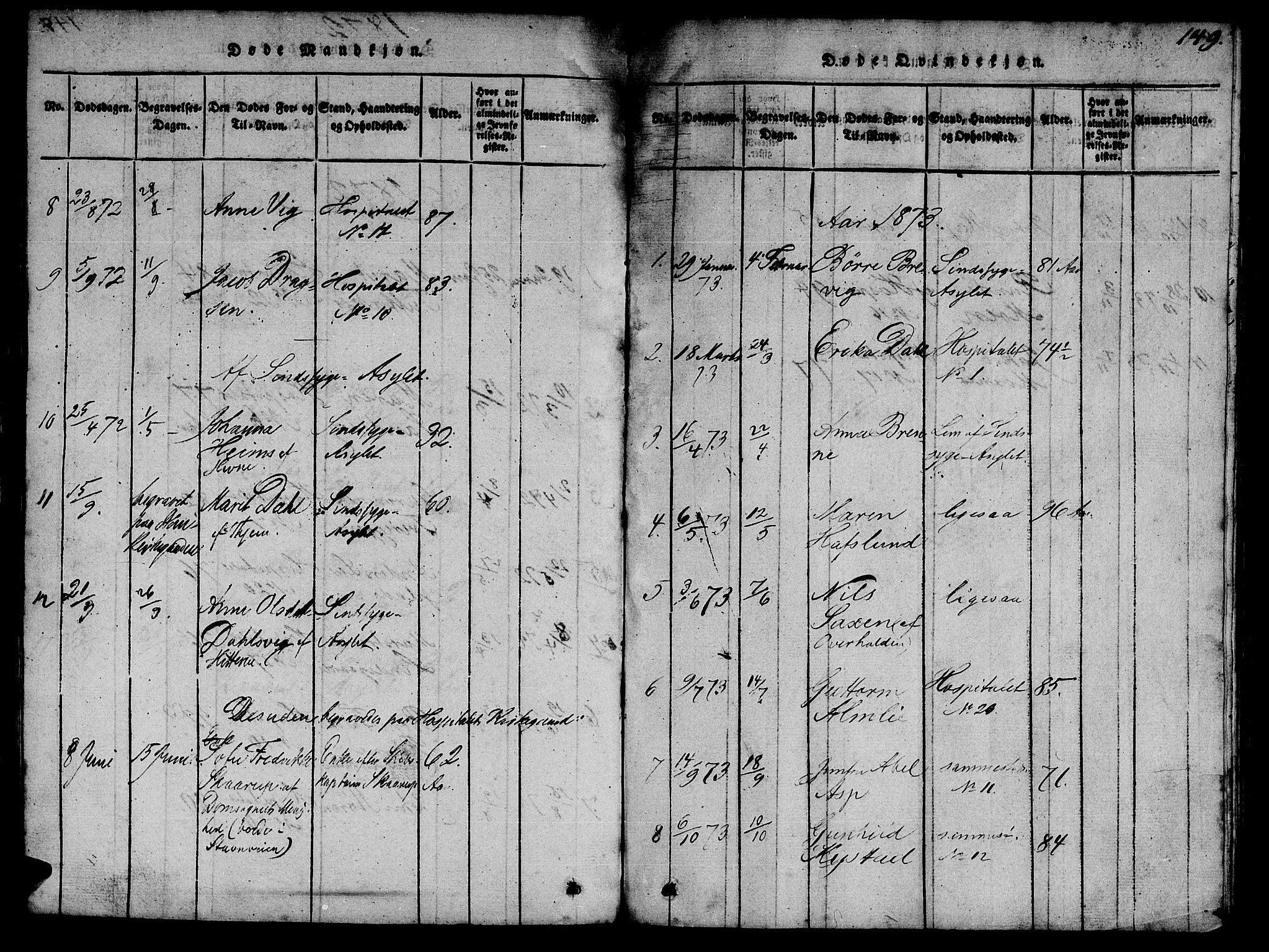 Ministerialprotokoller, klokkerbøker og fødselsregistre - Sør-Trøndelag, AV/SAT-A-1456/623/L0478: Parish register (copy) no. 623C01, 1815-1873, p. 149