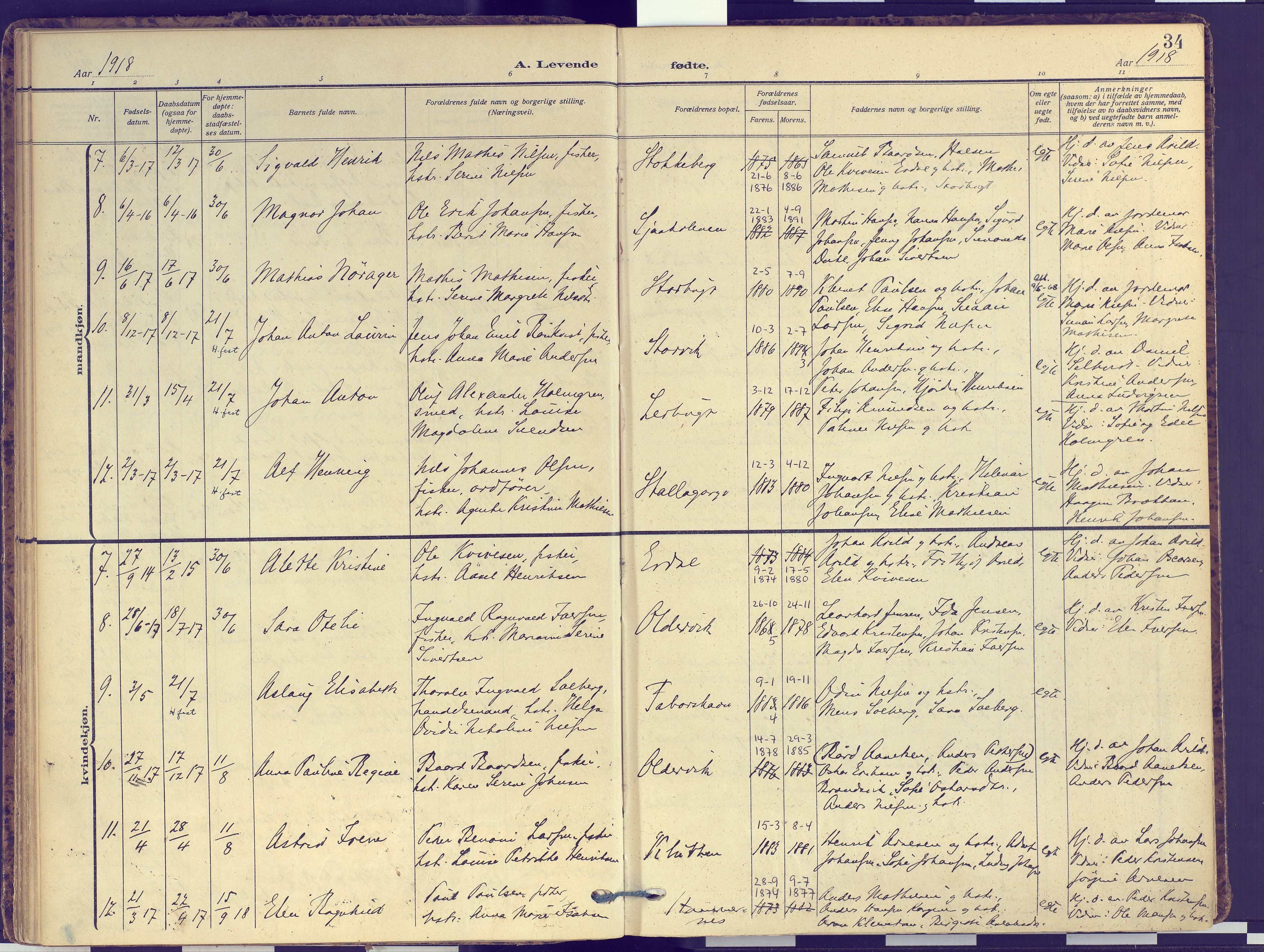 Hammerfest sokneprestkontor, SATØ/S-1347: Parish register (official) no. 16, 1908-1923, p. 34