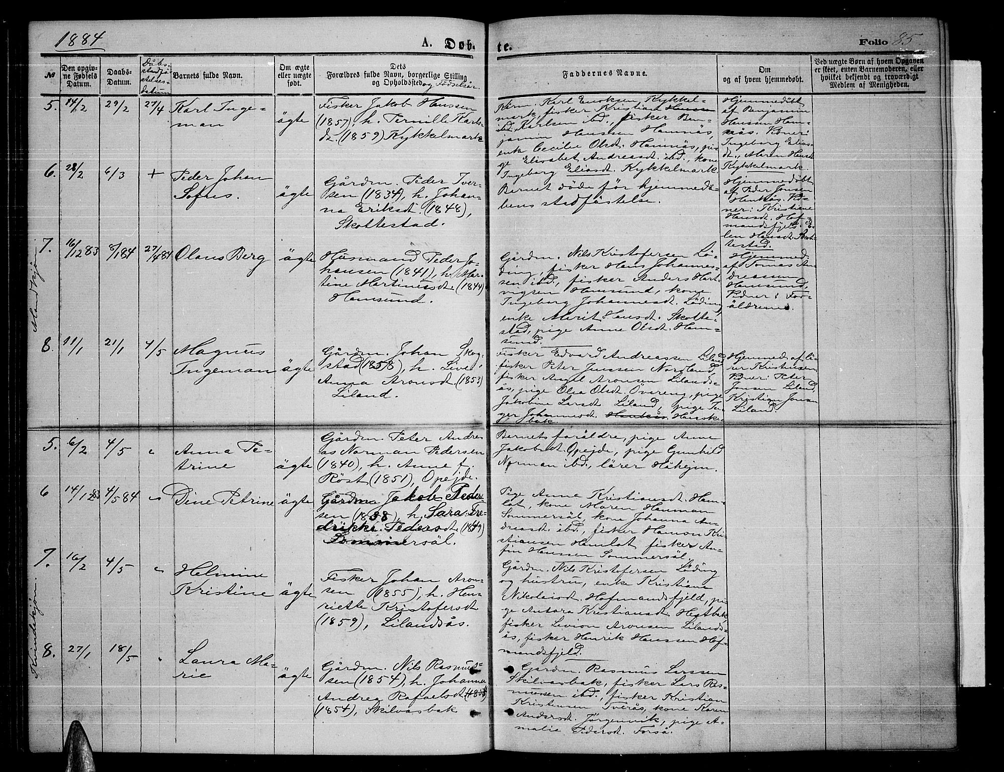 Ministerialprotokoller, klokkerbøker og fødselsregistre - Nordland, AV/SAT-A-1459/859/L0858: Parish register (copy) no. 859C04, 1873-1886, p. 85