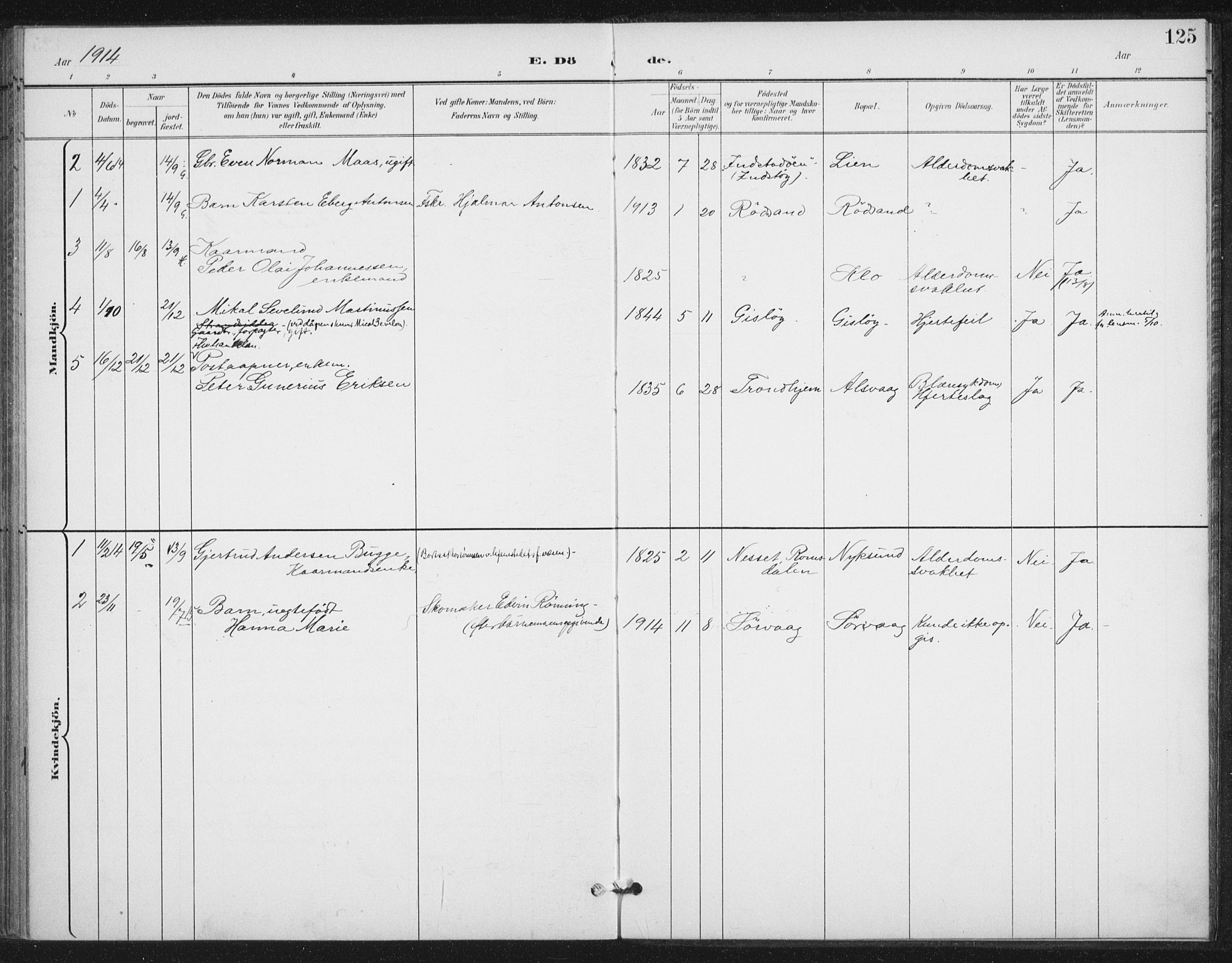 Ministerialprotokoller, klokkerbøker og fødselsregistre - Nordland, AV/SAT-A-1459/894/L1356: Parish register (official) no. 894A02, 1897-1914, p. 125