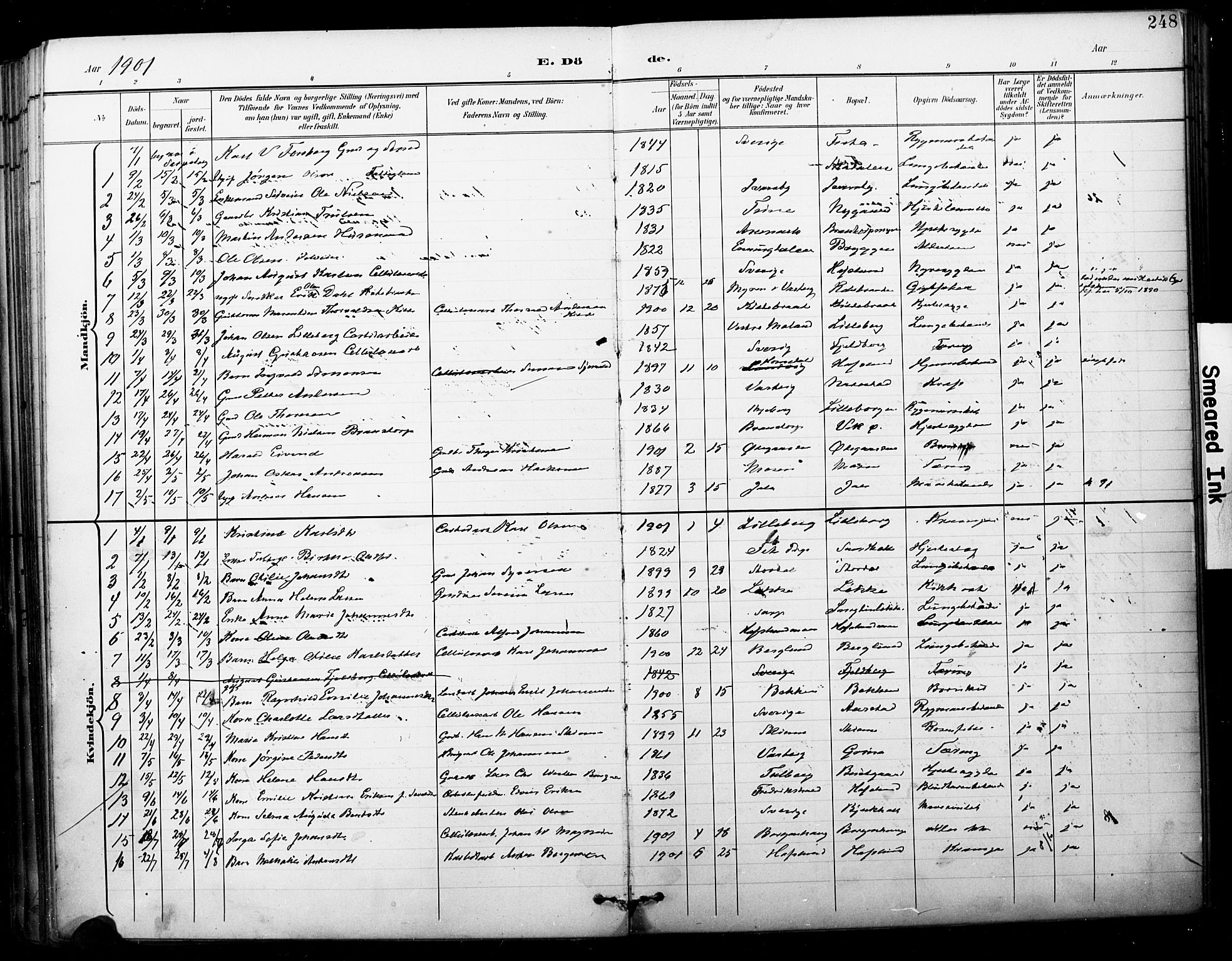 Skjeberg prestekontor Kirkebøker, SAO/A-10923/F/Fa/L0010: Parish register (official) no. I 10, 1898-1911, p. 248