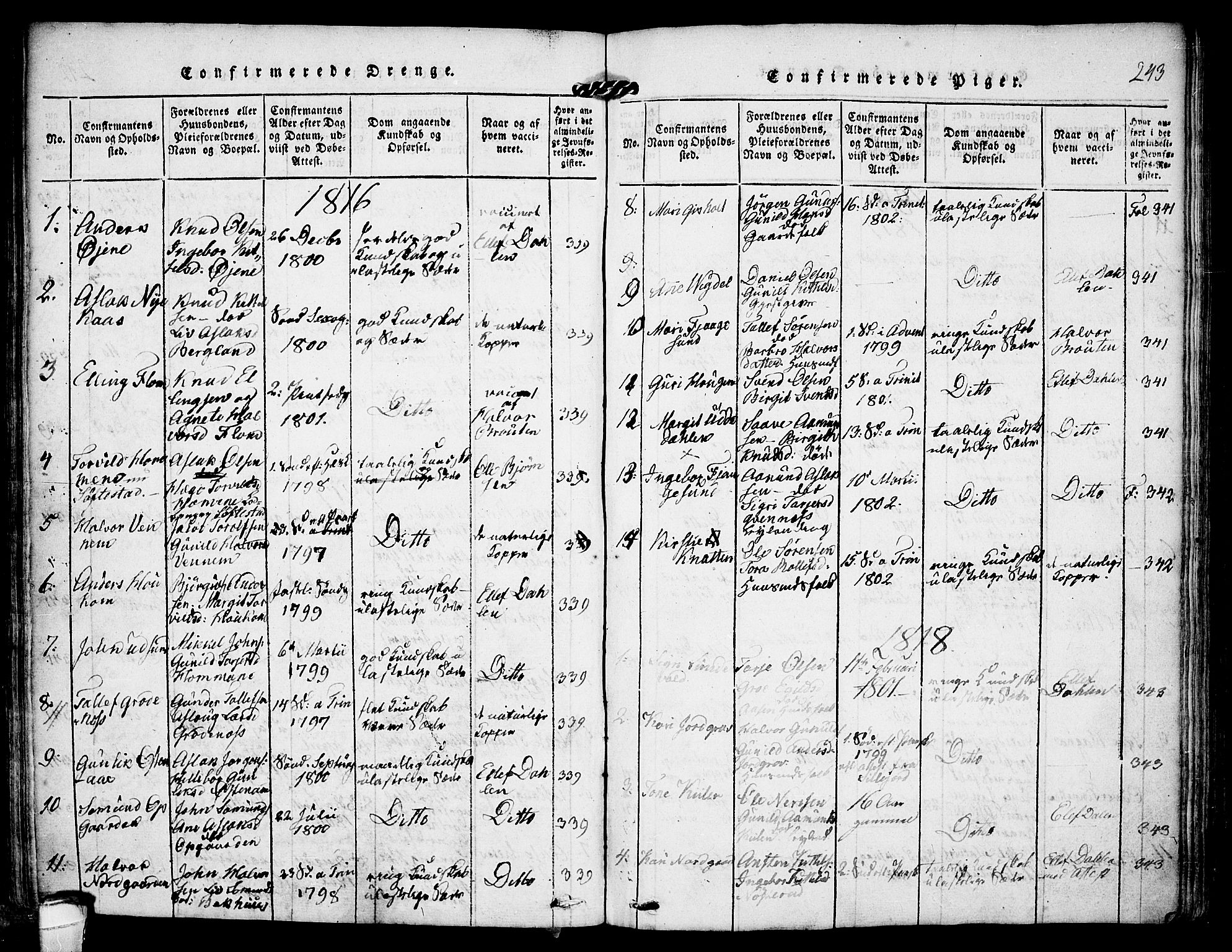 Kviteseid kirkebøker, SAKO/A-276/F/Fa/L0005: Parish register (official) no. I 5, 1815-1836, p. 243