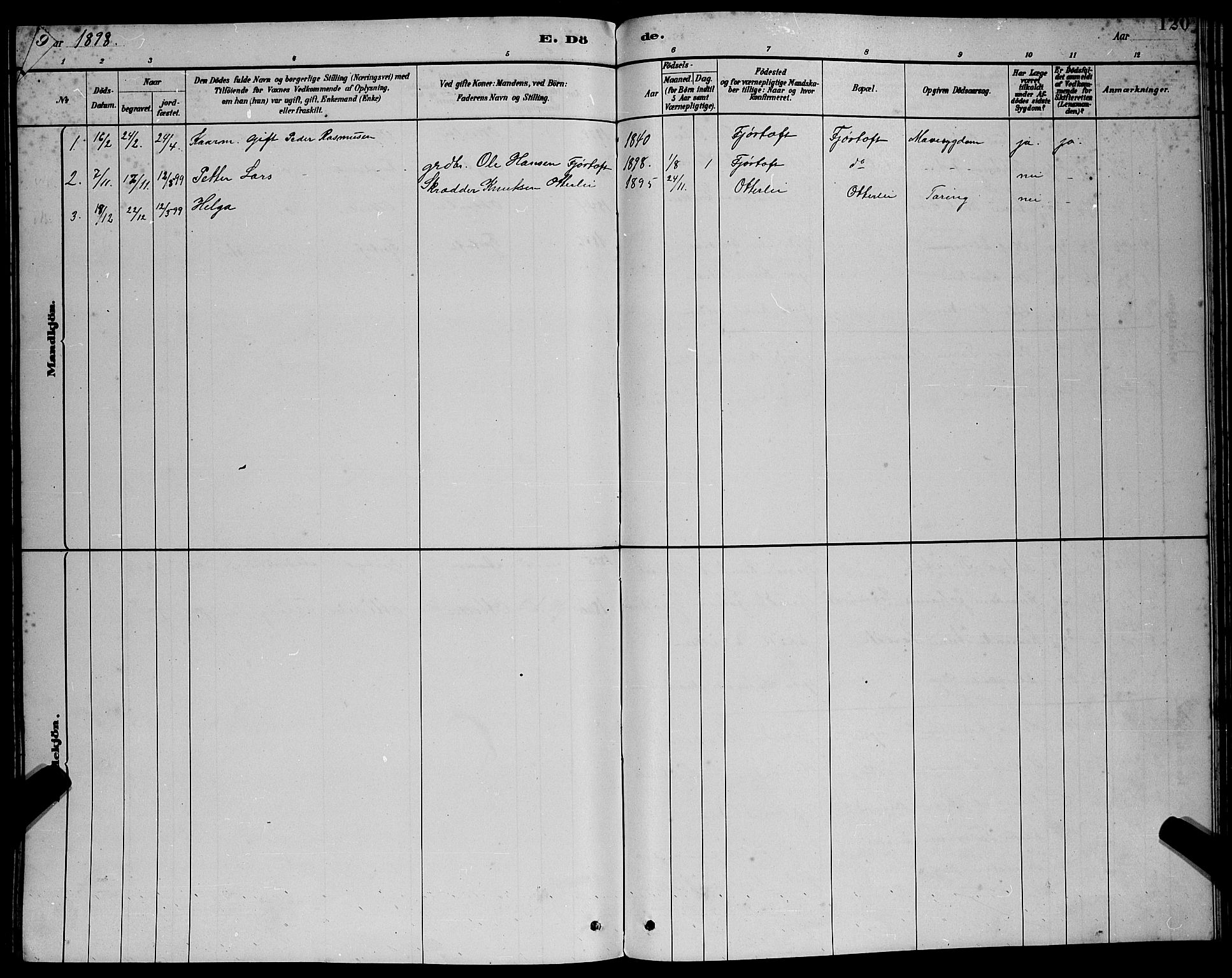 Ministerialprotokoller, klokkerbøker og fødselsregistre - Møre og Romsdal, AV/SAT-A-1454/538/L0523: Parish register (copy) no. 538C01, 1881-1900, p. 120