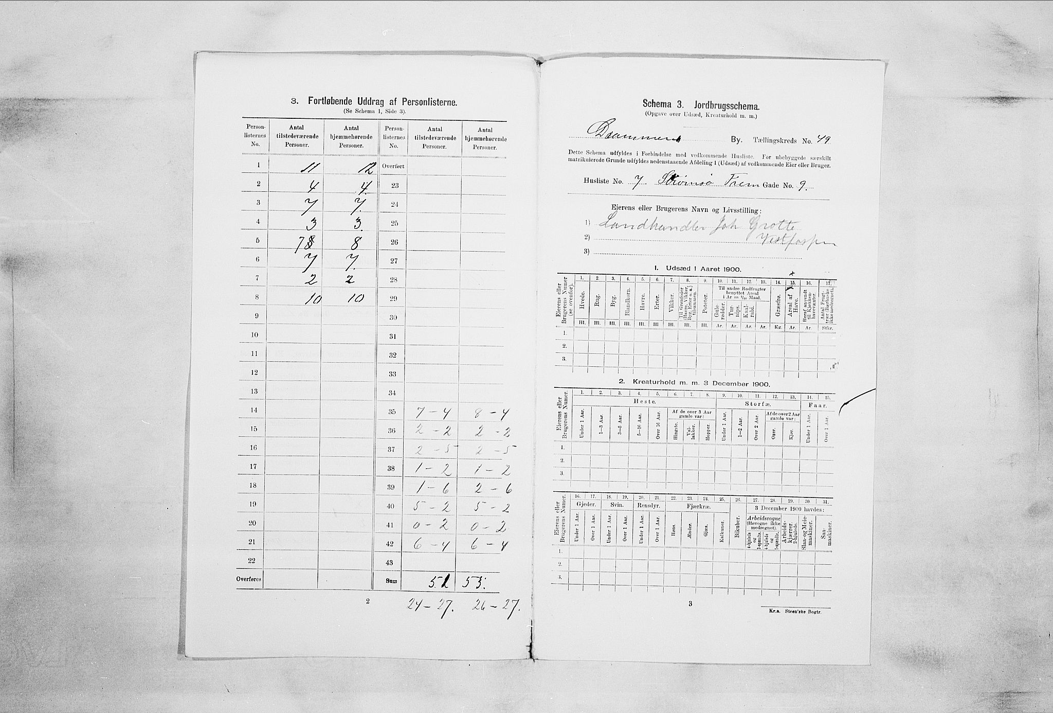 RA, 1900 census for Drammen, 1900, p. 8590
