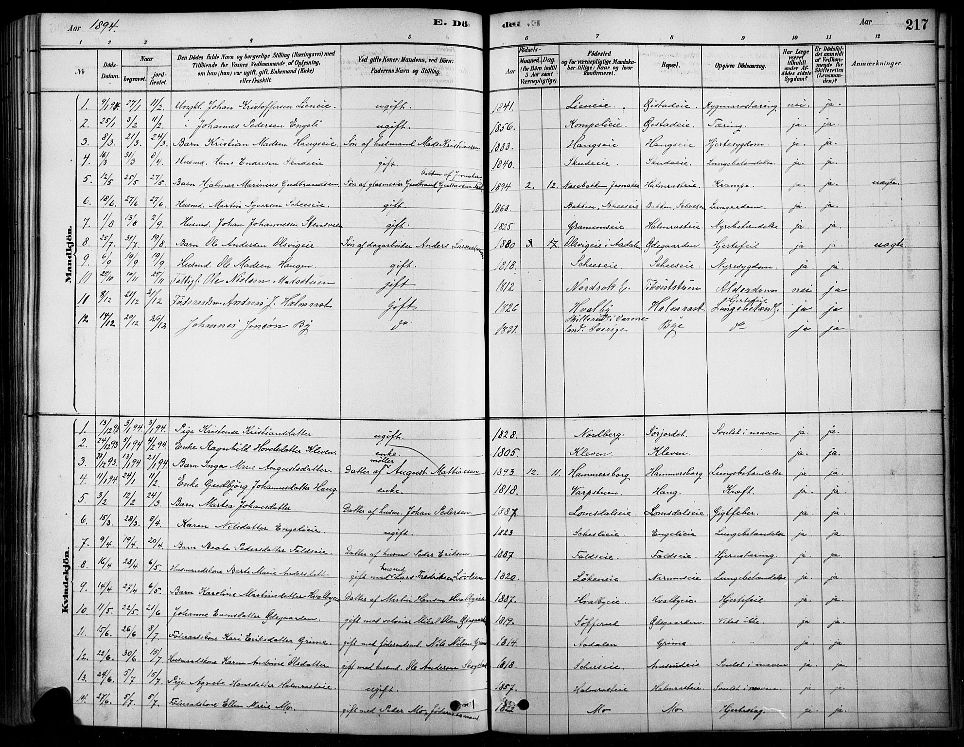 Søndre Land prestekontor, SAH/PREST-122/K/L0003: Parish register (official) no. 3, 1878-1894, p. 217