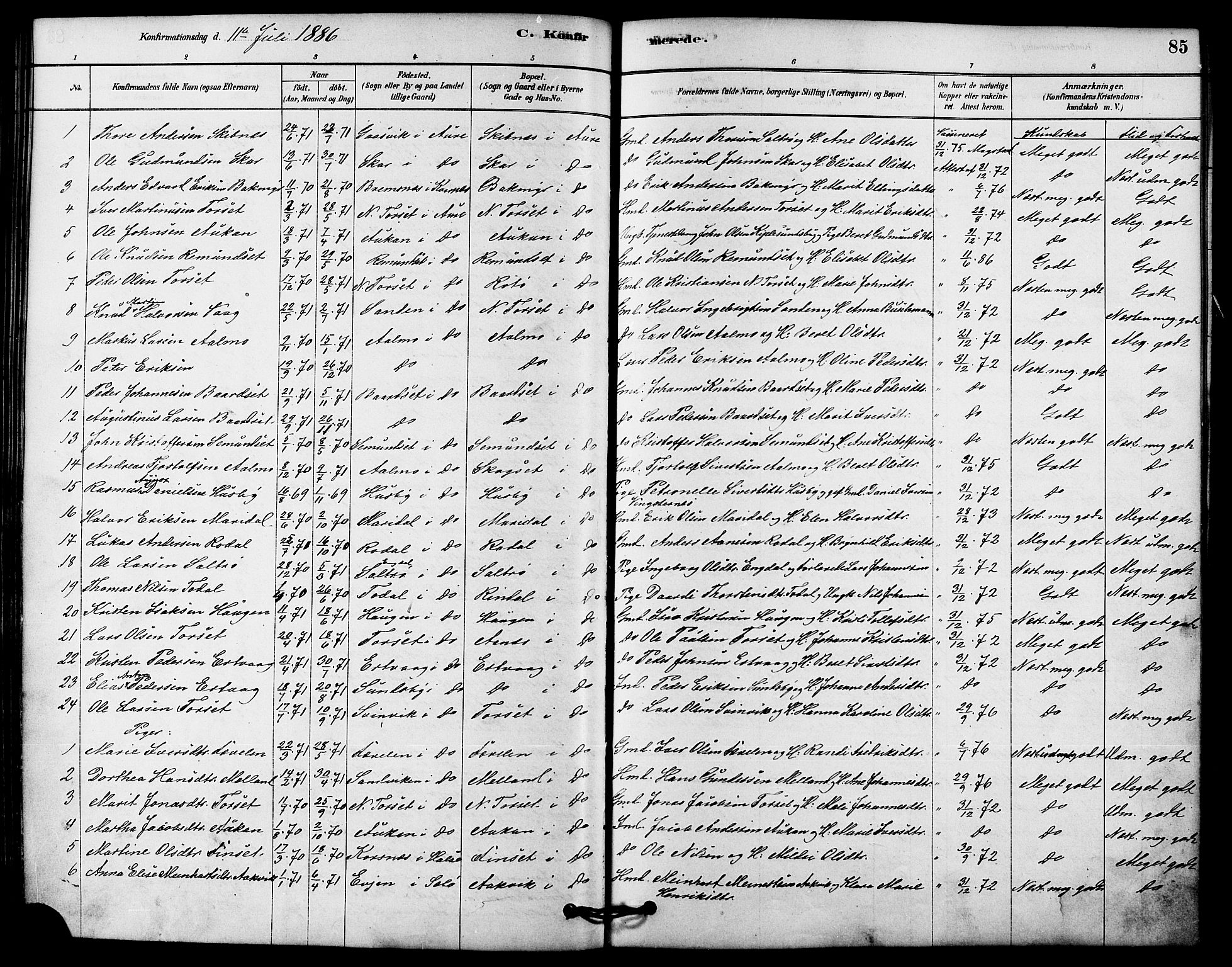 Ministerialprotokoller, klokkerbøker og fødselsregistre - Møre og Romsdal, AV/SAT-A-1454/578/L0906: Parish register (official) no. 578A05, 1878-1886, p. 85