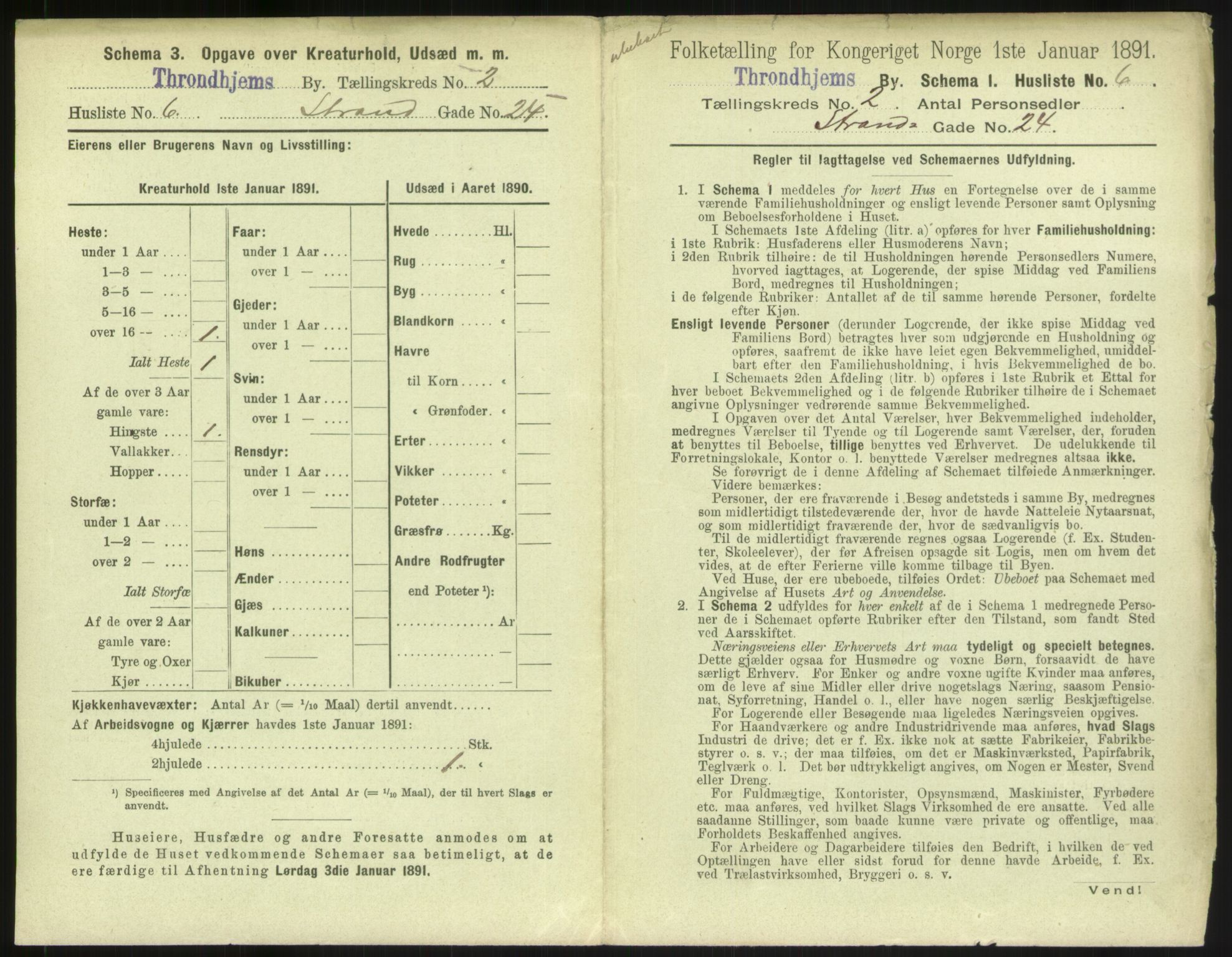 RA, 1891 census for 1601 Trondheim, 1891, p. 246