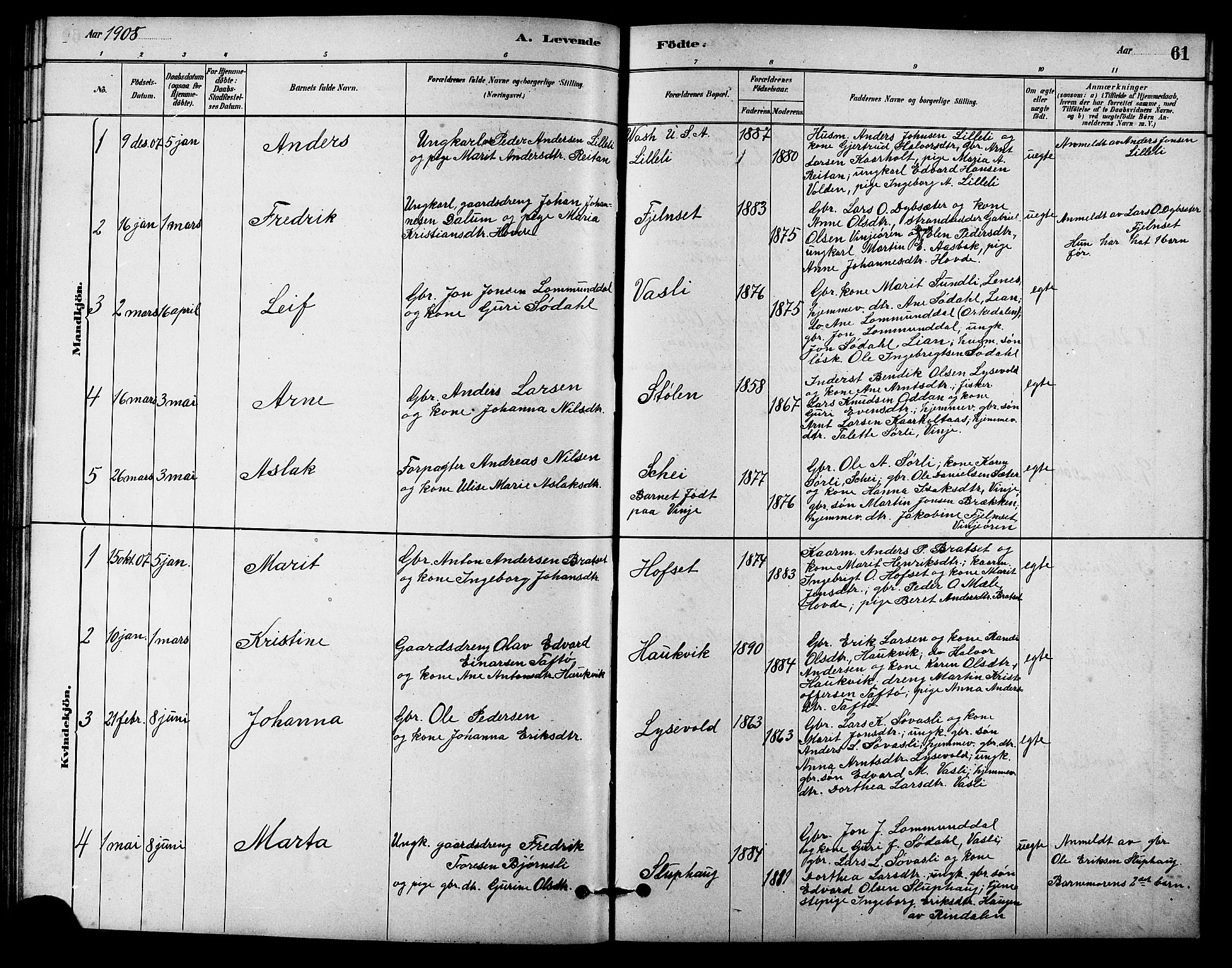Ministerialprotokoller, klokkerbøker og fødselsregistre - Sør-Trøndelag, SAT/A-1456/631/L0514: Parish register (copy) no. 631C02, 1879-1912, p. 61