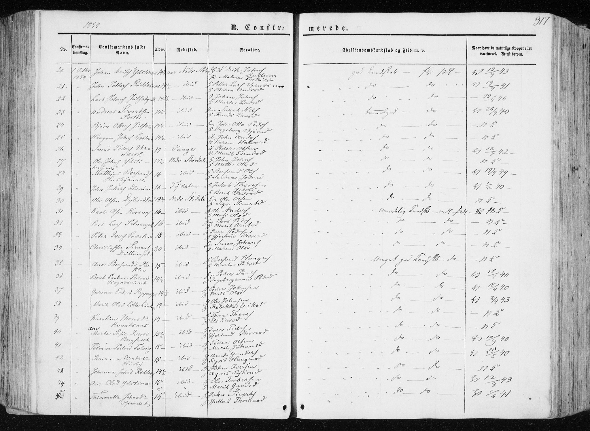 Ministerialprotokoller, klokkerbøker og fødselsregistre - Nord-Trøndelag, AV/SAT-A-1458/709/L0074: Parish register (official) no. 709A14, 1845-1858, p. 317