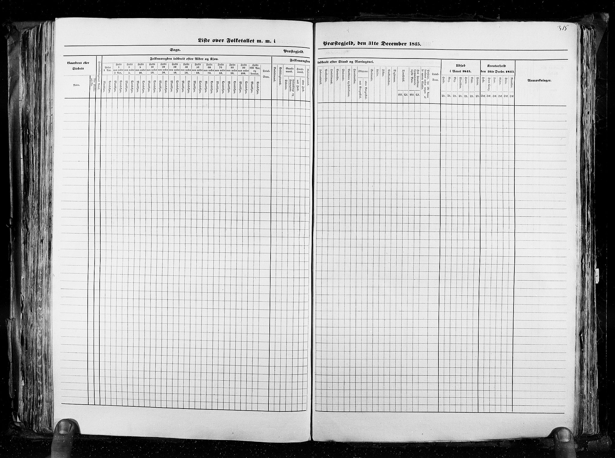 RA, Census 1845, vol. 3: Hedemarken amt og Kristians amt, 1845, p. 315