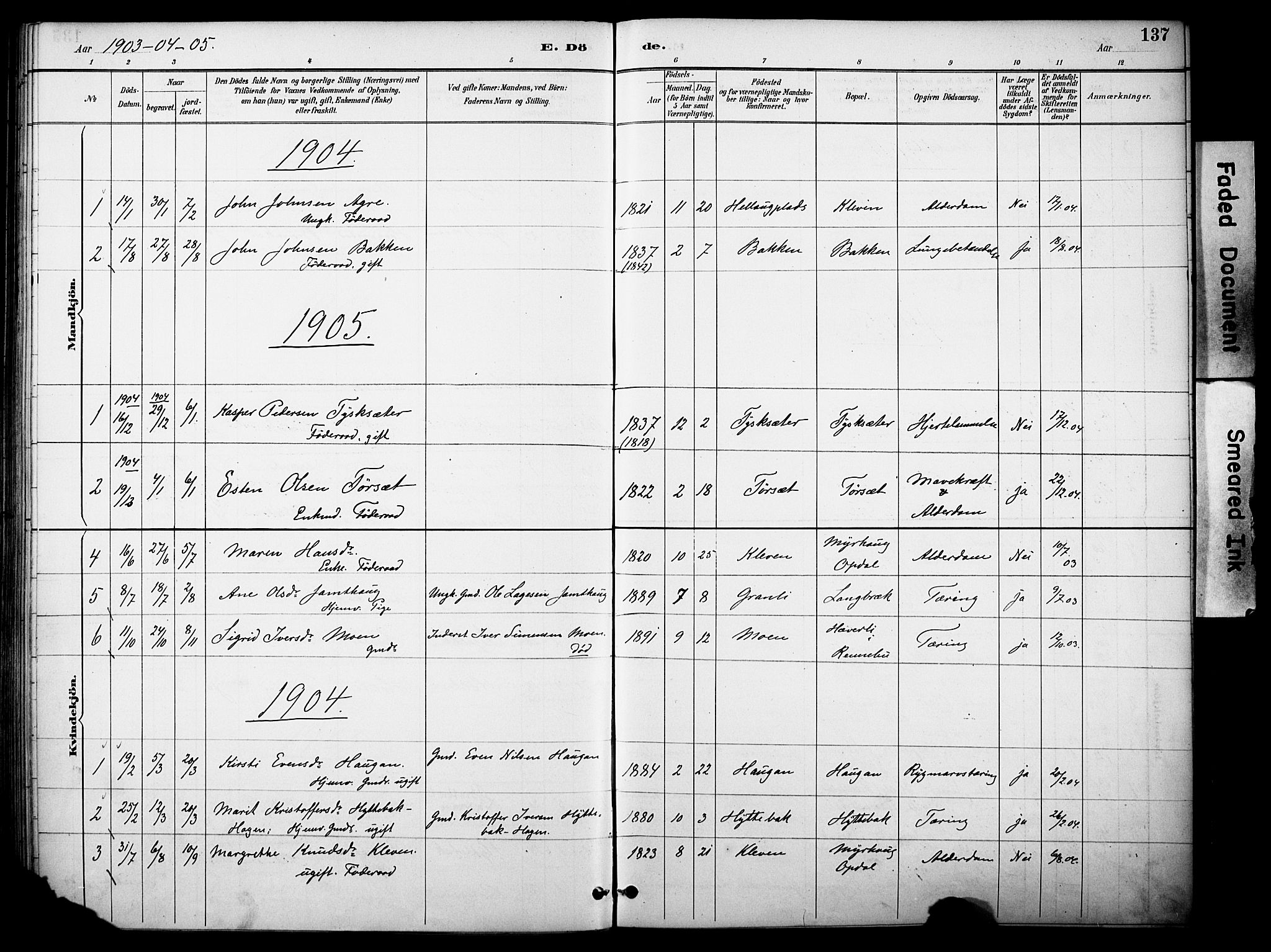 Kvikne prestekontor, SAH/PREST-064/H/Ha/Haa/L0007: Parish register (official) no. 7, 1887-1911, p. 137
